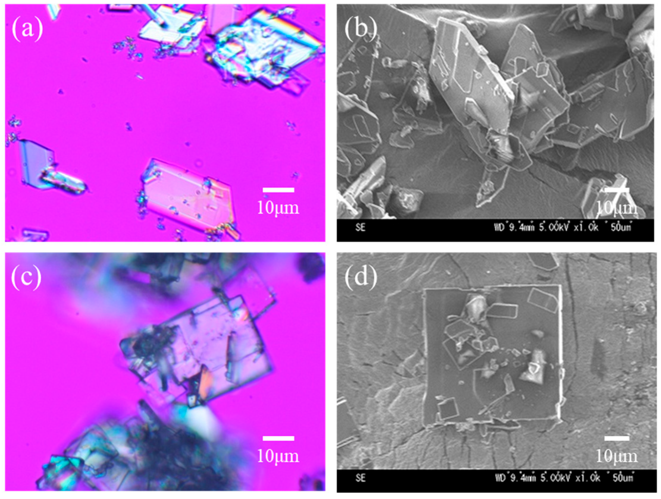 Crystals 15 00866 g003