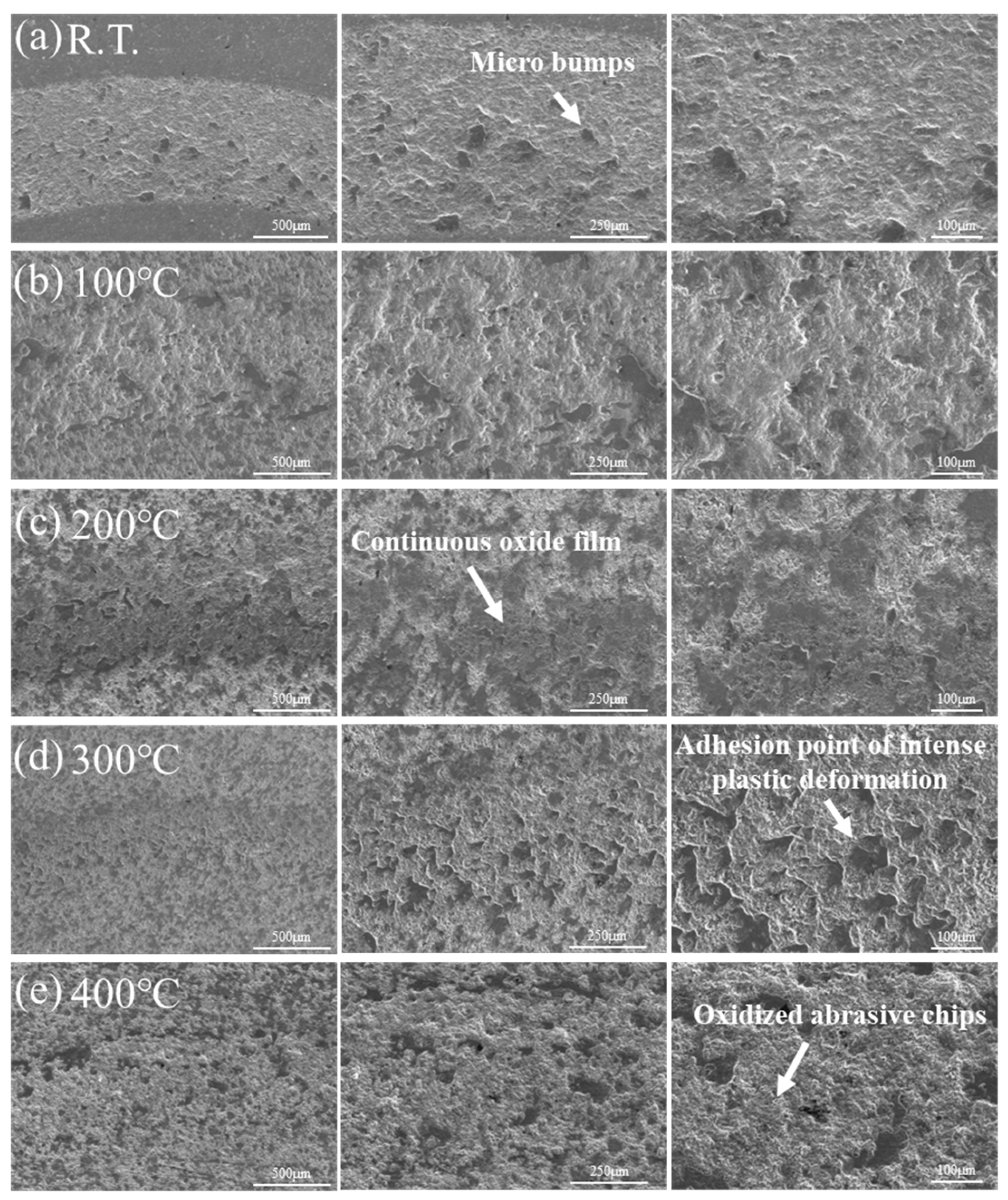 Crystals 15 00903 g010 Crystals 15 00903 g010
