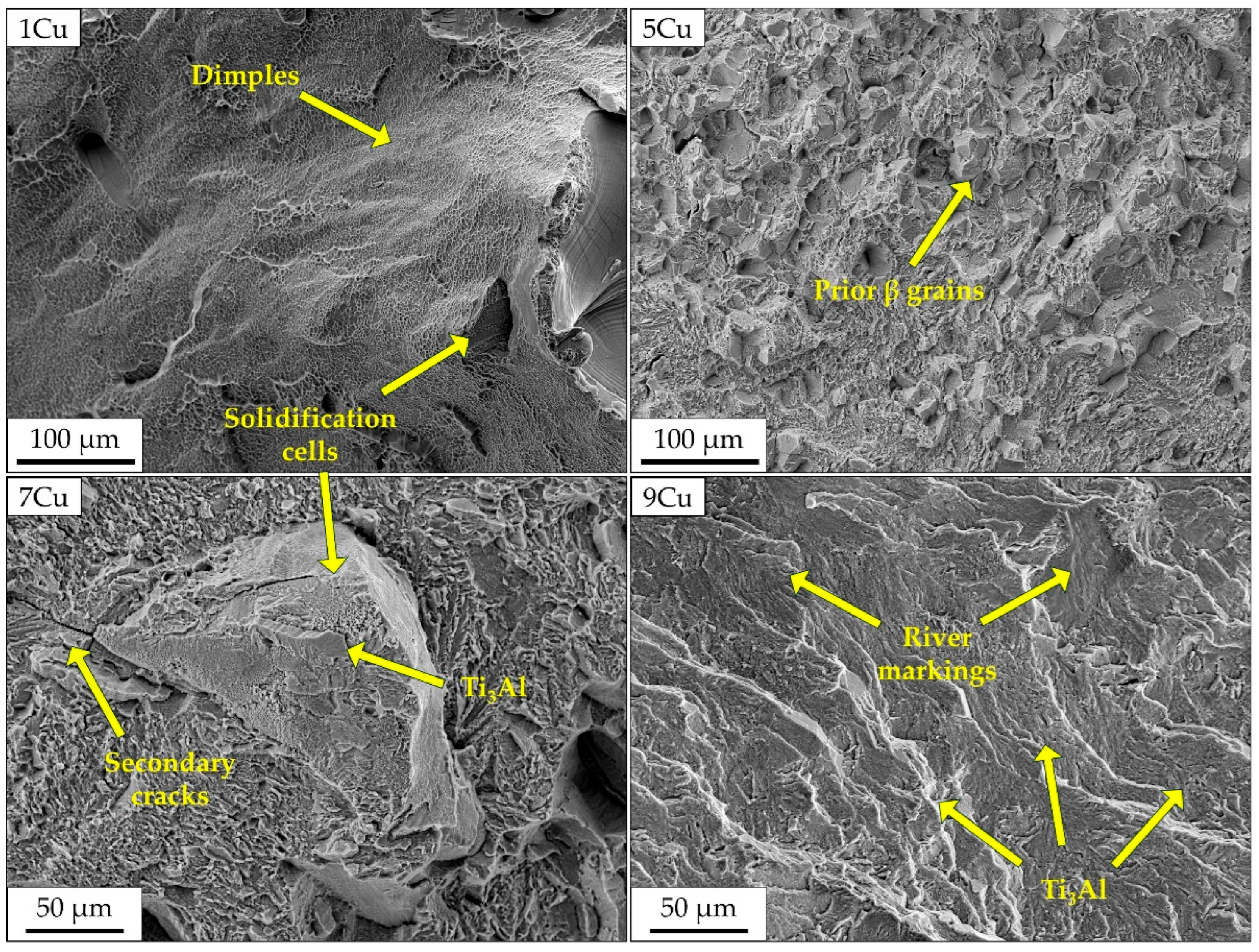 Crystals 15 01053 g007 Crystals 15 01053 g007