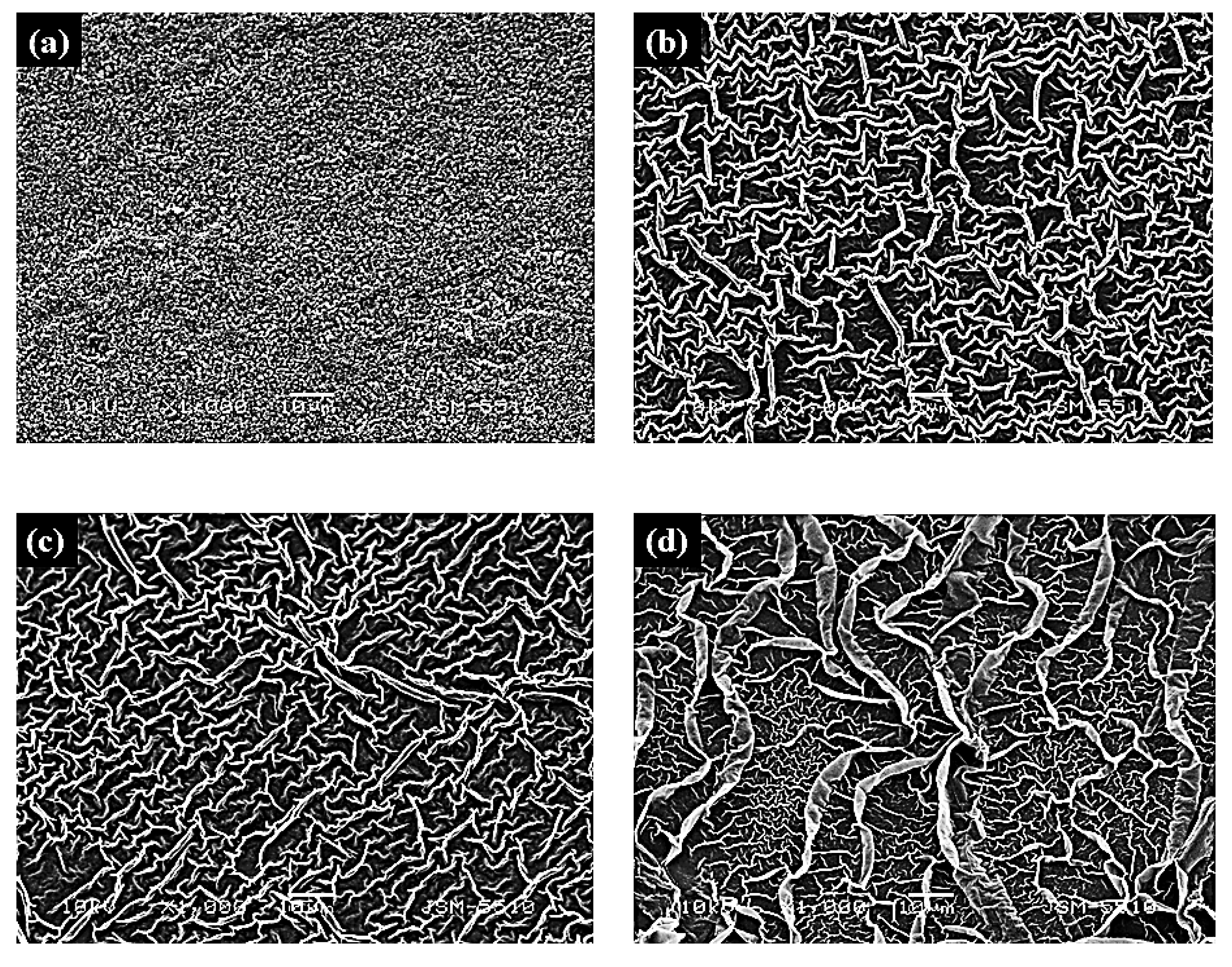 Crystals 16 00008 g001a Crystals 16 00008 g001a
