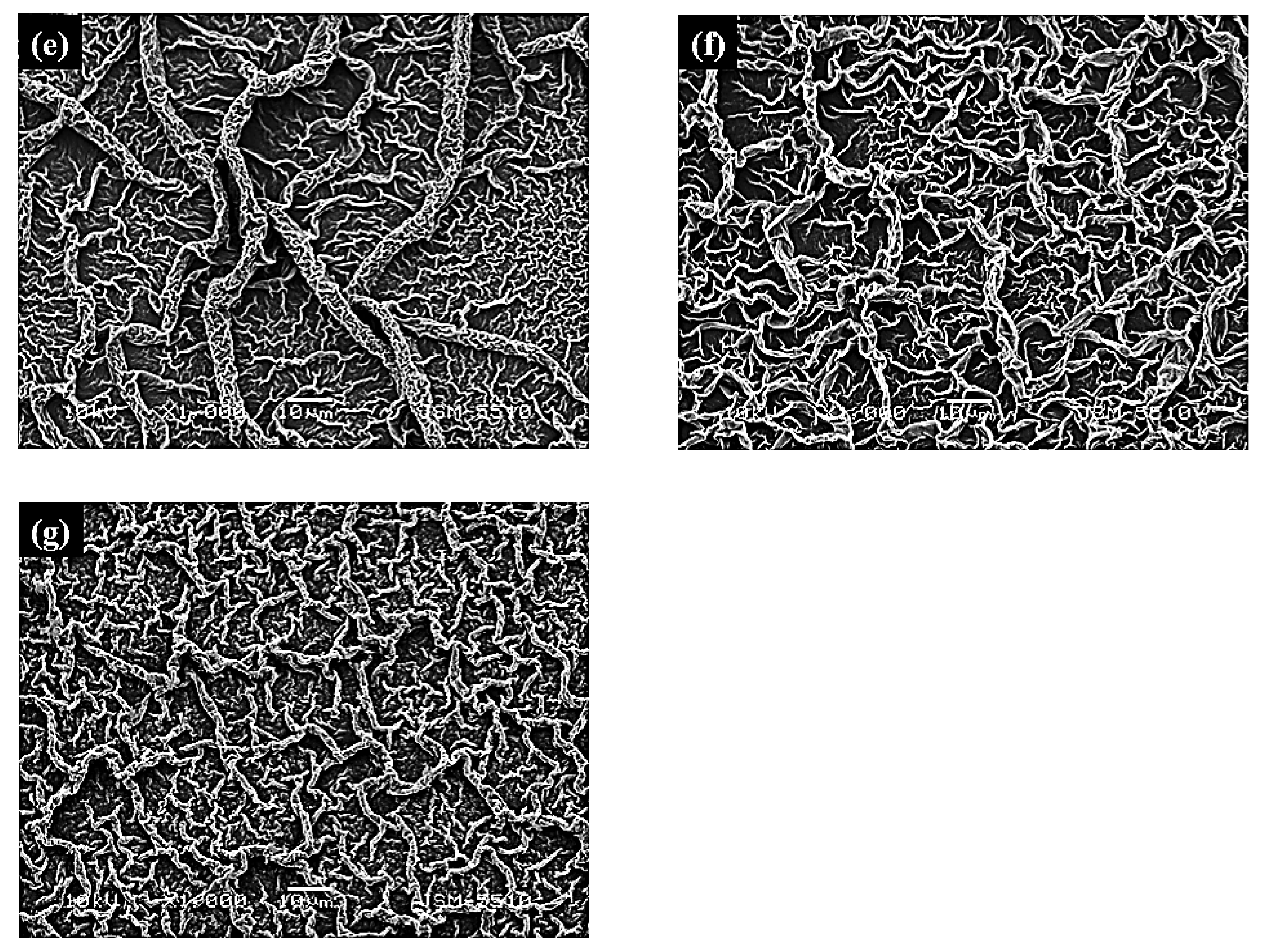 Crystals 16 00008 g001b Crystals 16 00008 g001b