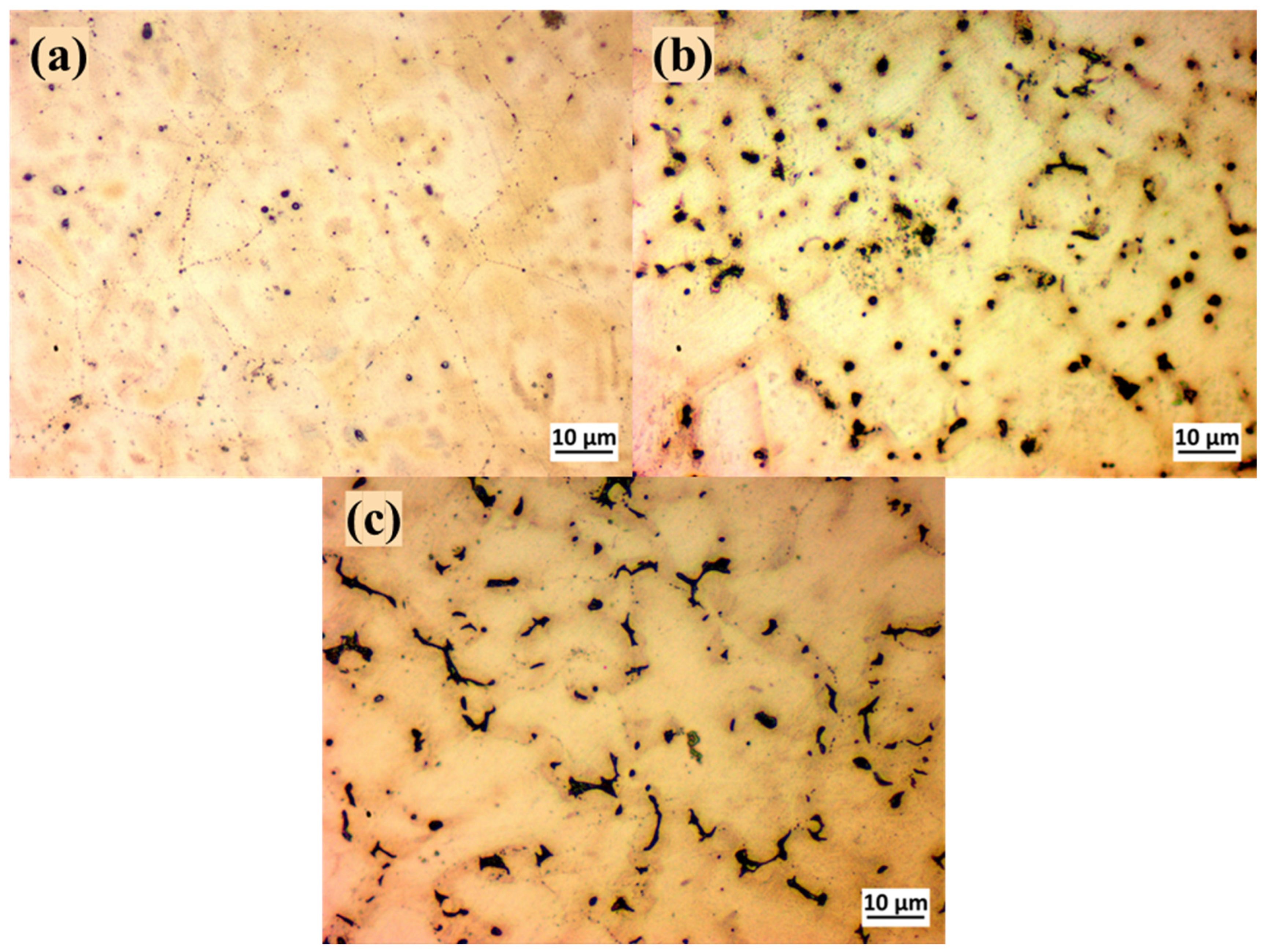 Crystals 16 00021 g002