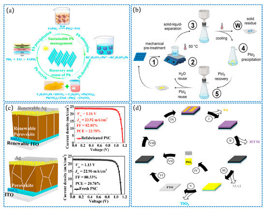 Crystals 16 00024 g005