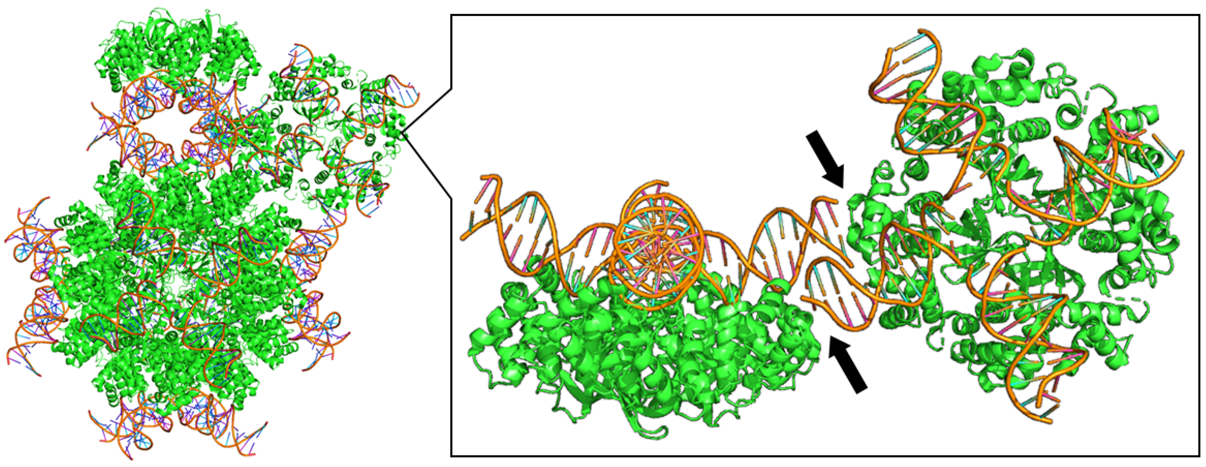 Crystals 16 00036 g005