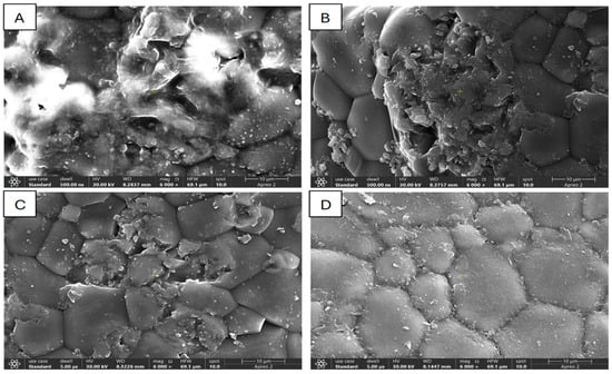 Group 1 (Sandblasting): The SEM image of sandblasted 3Y-TZP surfaces (A) showed significant alteration of the original surface structure. Surface irregularity characterized by randomly oriented grooves, ridges, and undulations with no discernible pattern is observed. The SEM image of CO2 laser-treated 3Y-TZP surfaces (B) displayed a unique dual-zone morphology. In areas directly impacted by the laser, localized ablation craters were visible, marked by the loss of the original crystalline structure and thermal changes to the surface. The SEM image of TBC-treated 3Y-TZP surfaces (C) exhibited a morphological pattern closely resembling that of CO2 laser-treated samples. The original polygonal grain structure of sintered zirconia was partially retained with well-defined grain boundaries. The SEM image of PECVD-Si-coated 3Y-TZP surfaces (D) showed a uniquely preserved and consistently modified surface architecture.