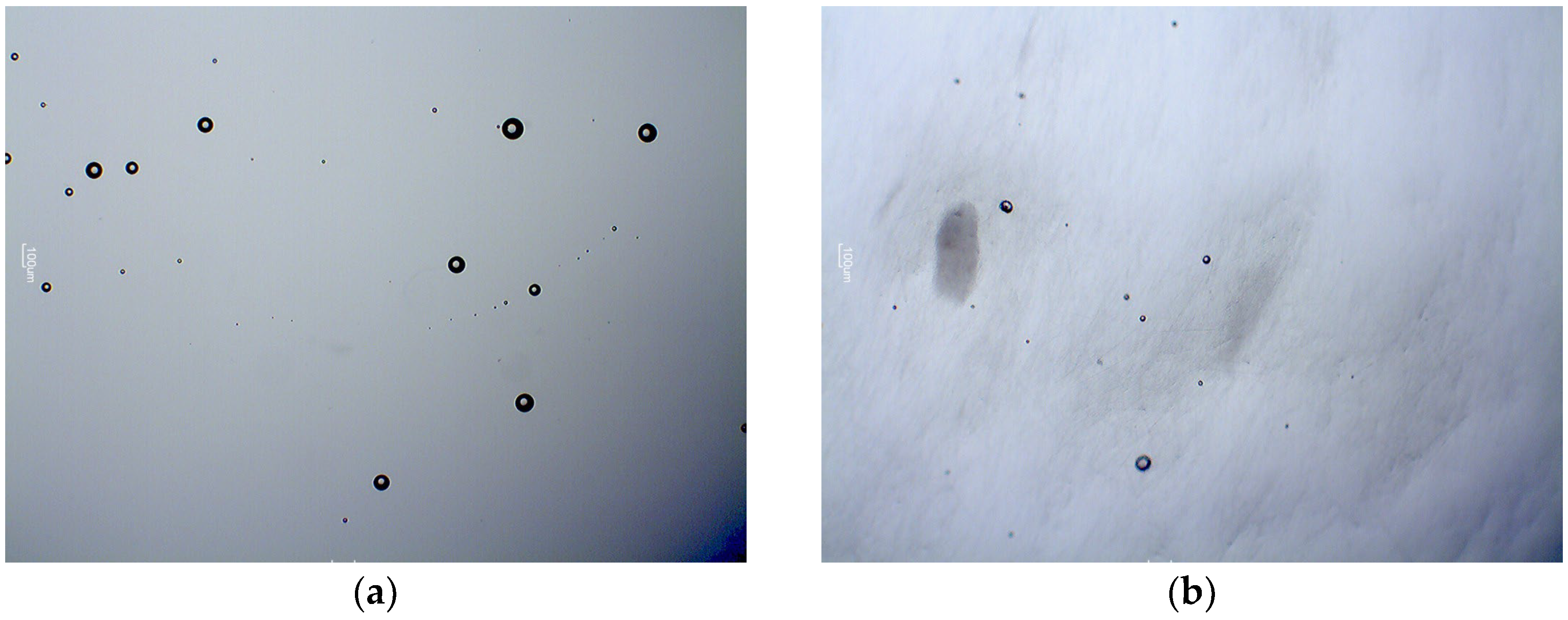 Crystals 16 00077 g002 Crystals 16 00077 g002