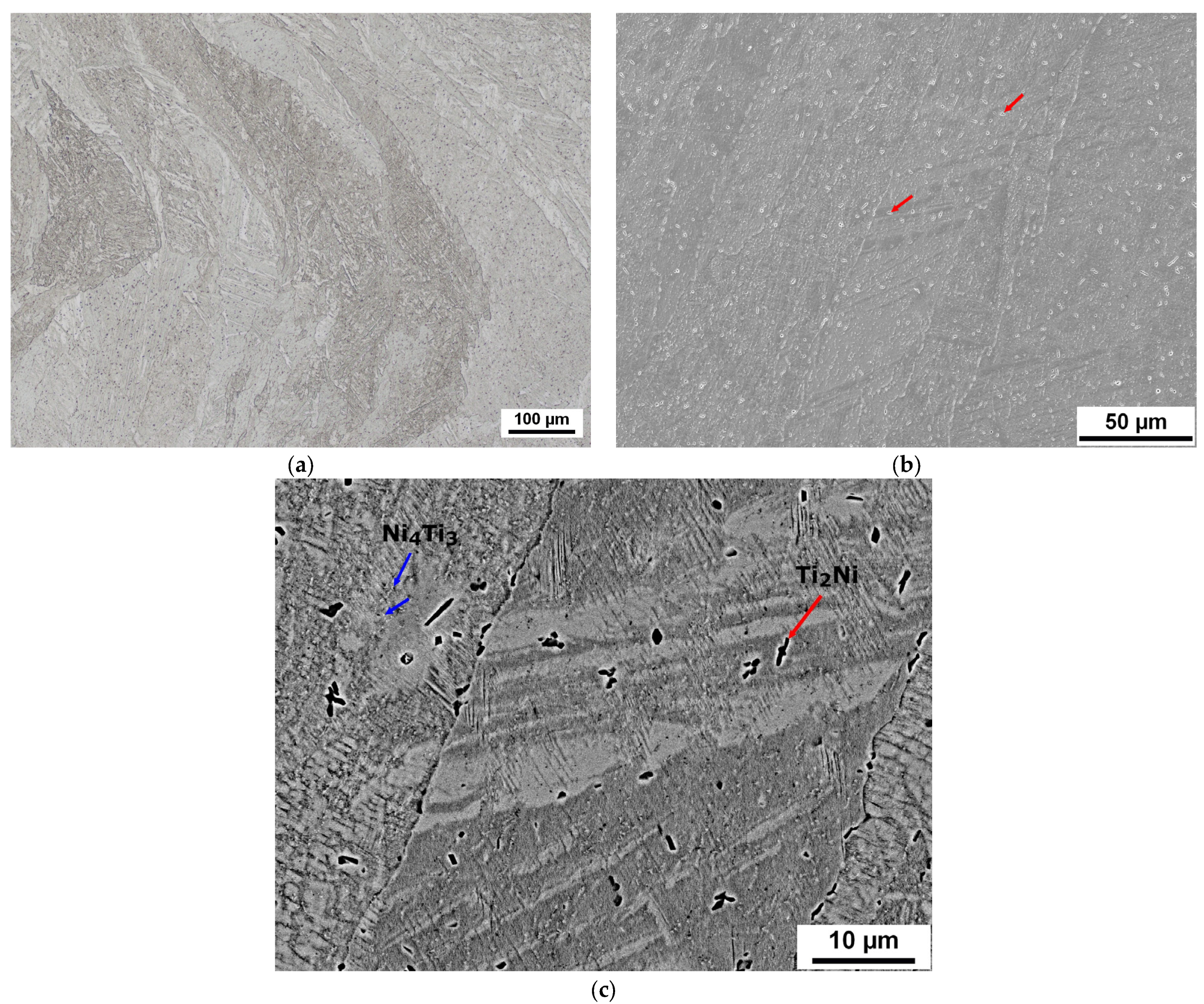 Crystals 16 00098 g010
