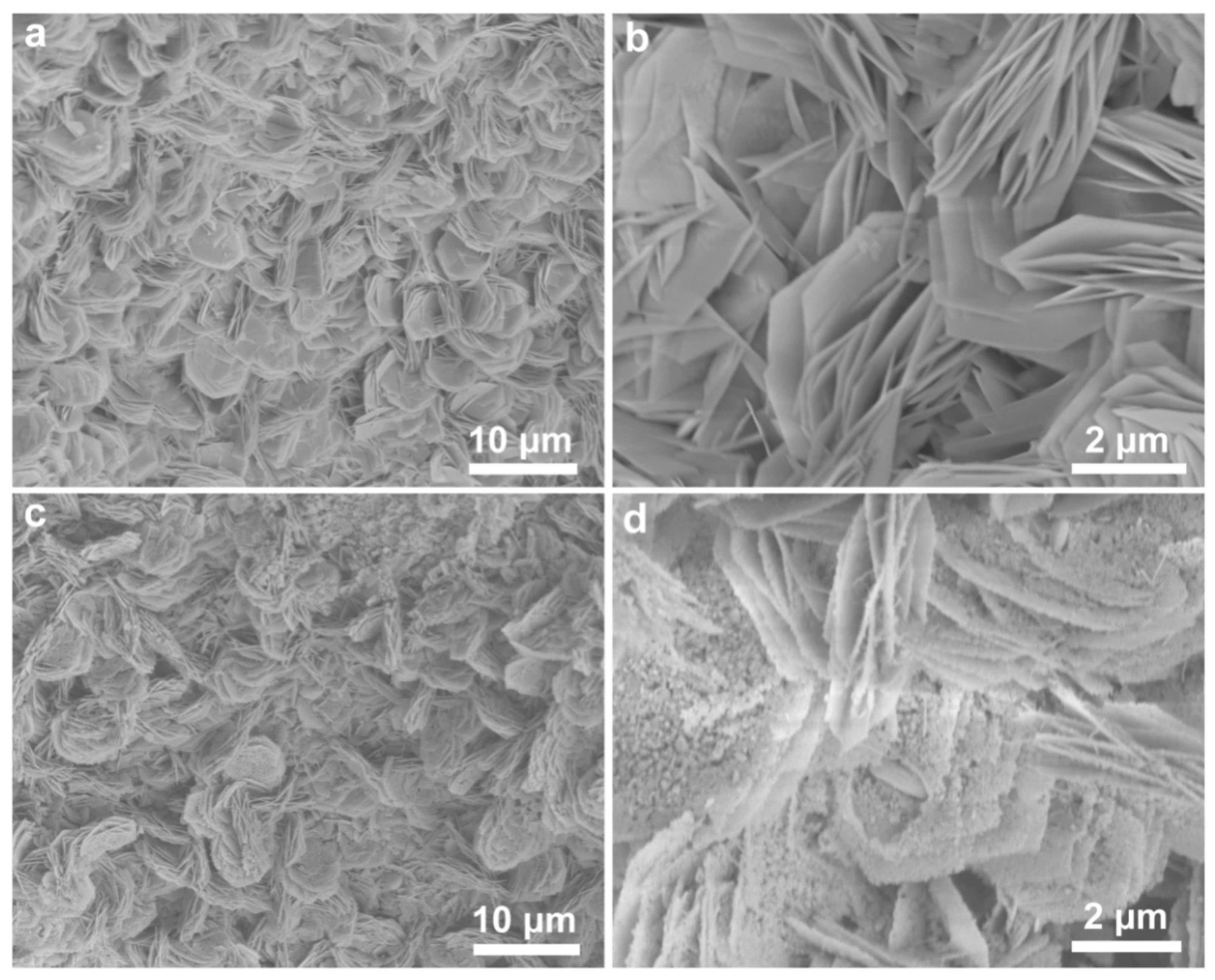 Crystals 16 00100 g003 Crystals 16 00100 g003