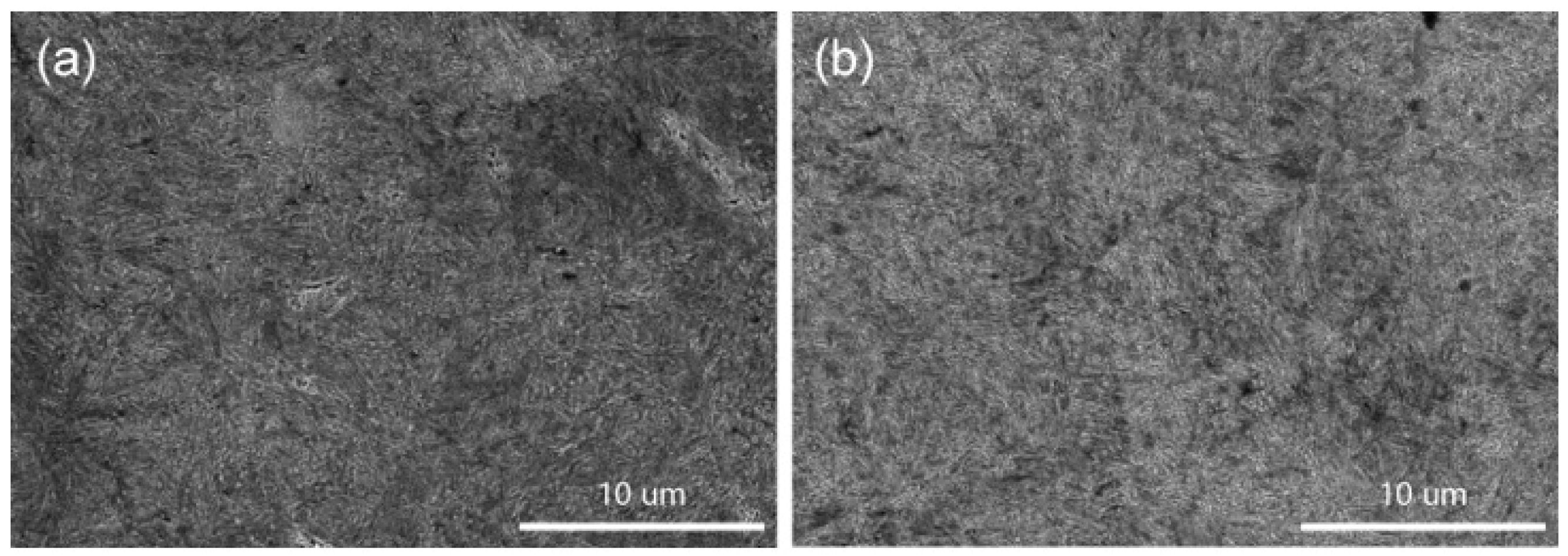Crystals 16 00123 g004 Crystals 16 00123 g004