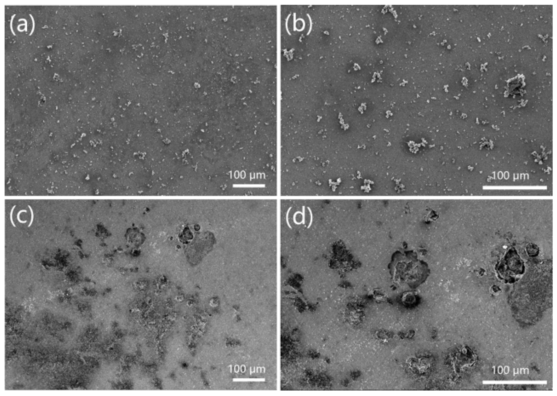 Crystals 16 00123 g014 Crystals 16 00123 g014