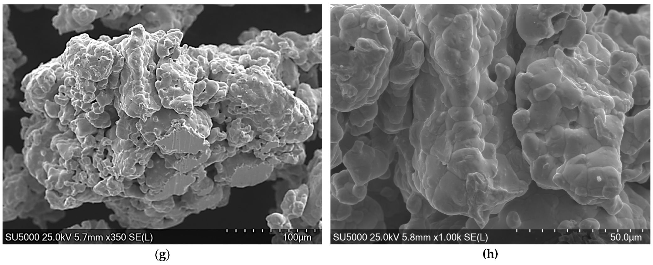 Crystals 16 00124 g004b