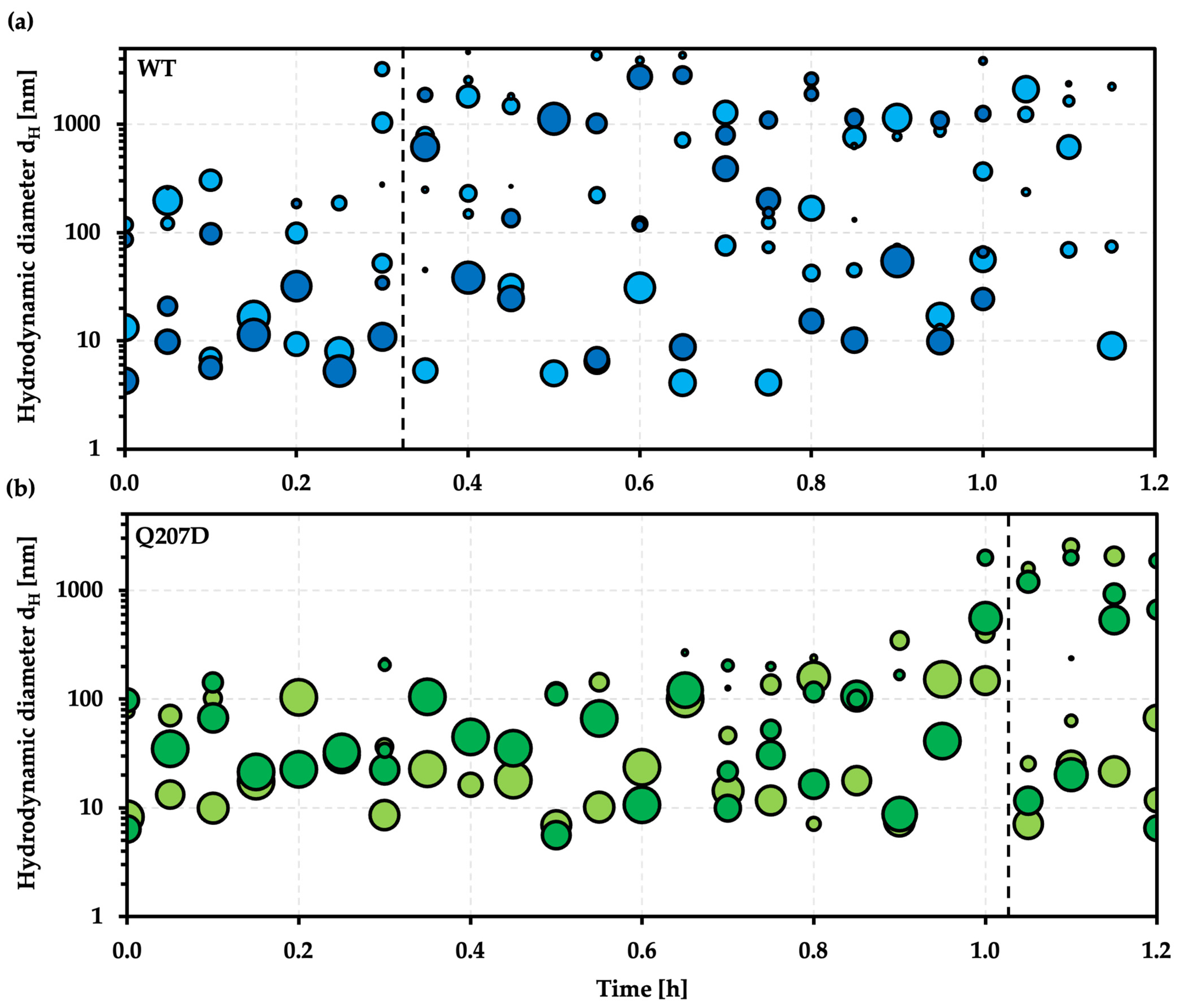 Crystals 16 00148 g008 Crystals 16 00148 g008