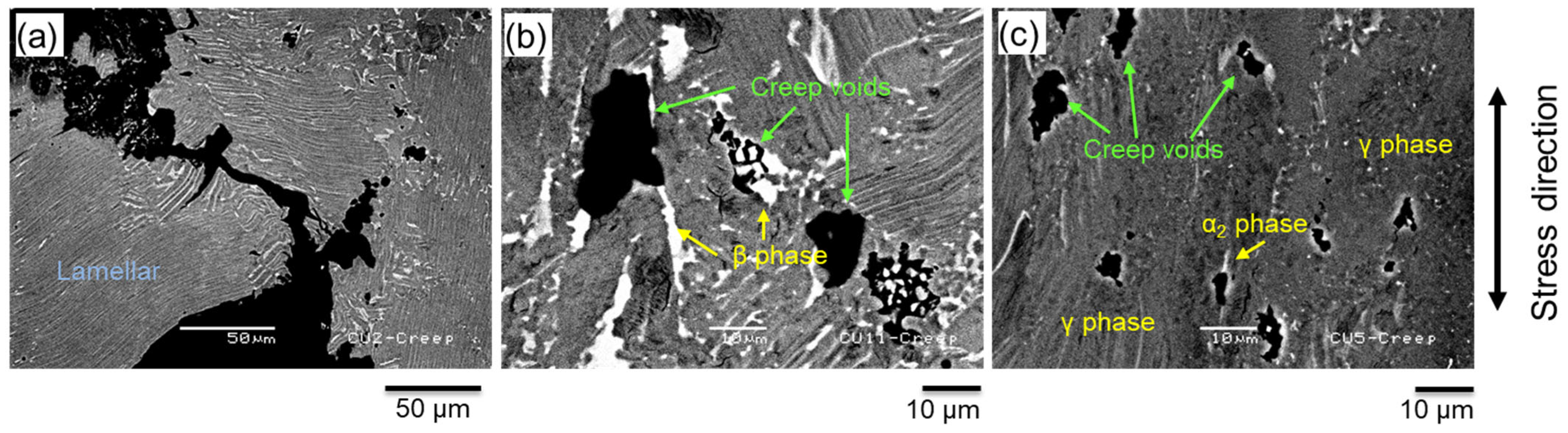 Crystals 16 00156 g006 Crystals 16 00156 g006