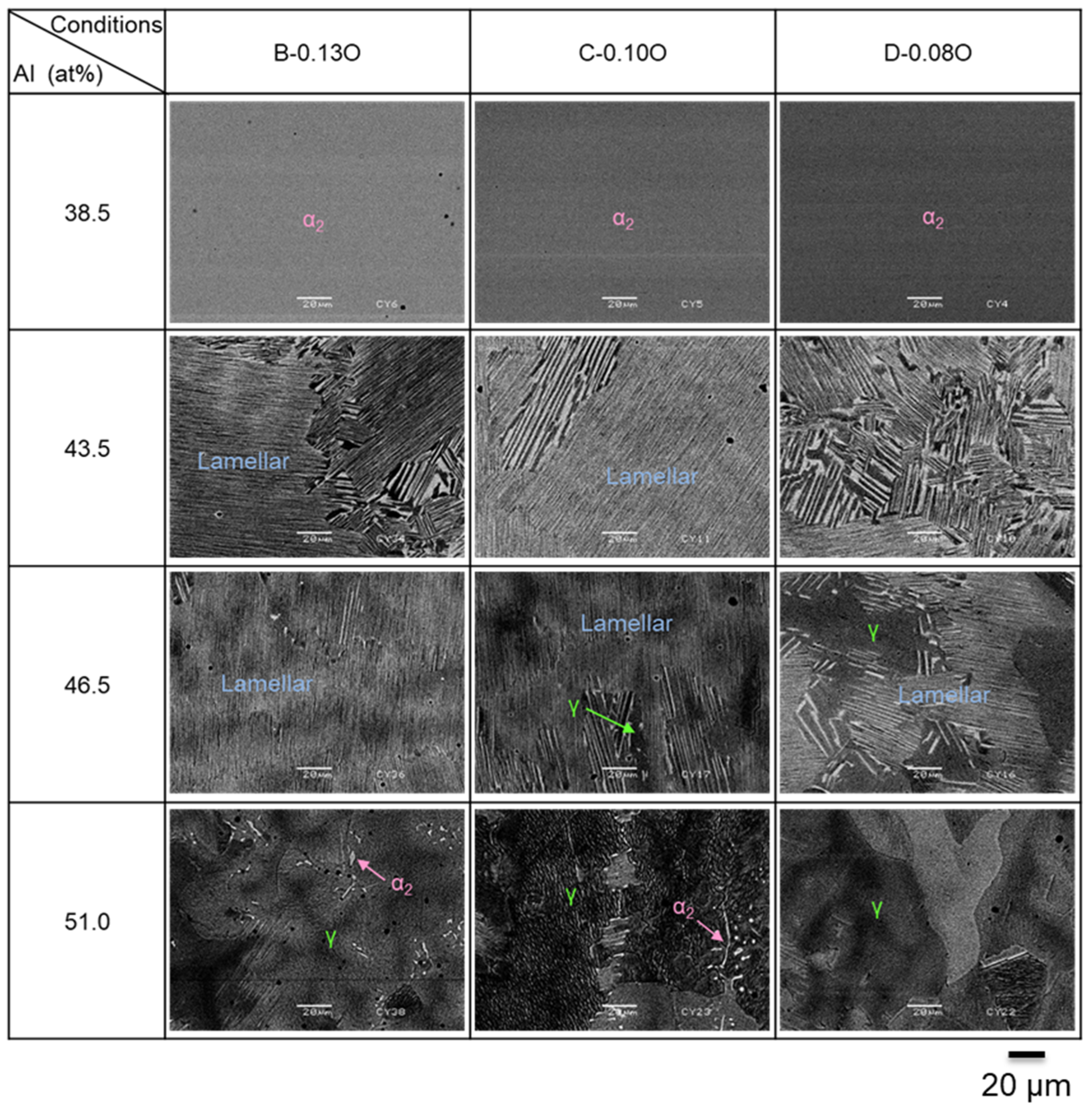 Crystals 16 00156 g007 Crystals 16 00156 g007