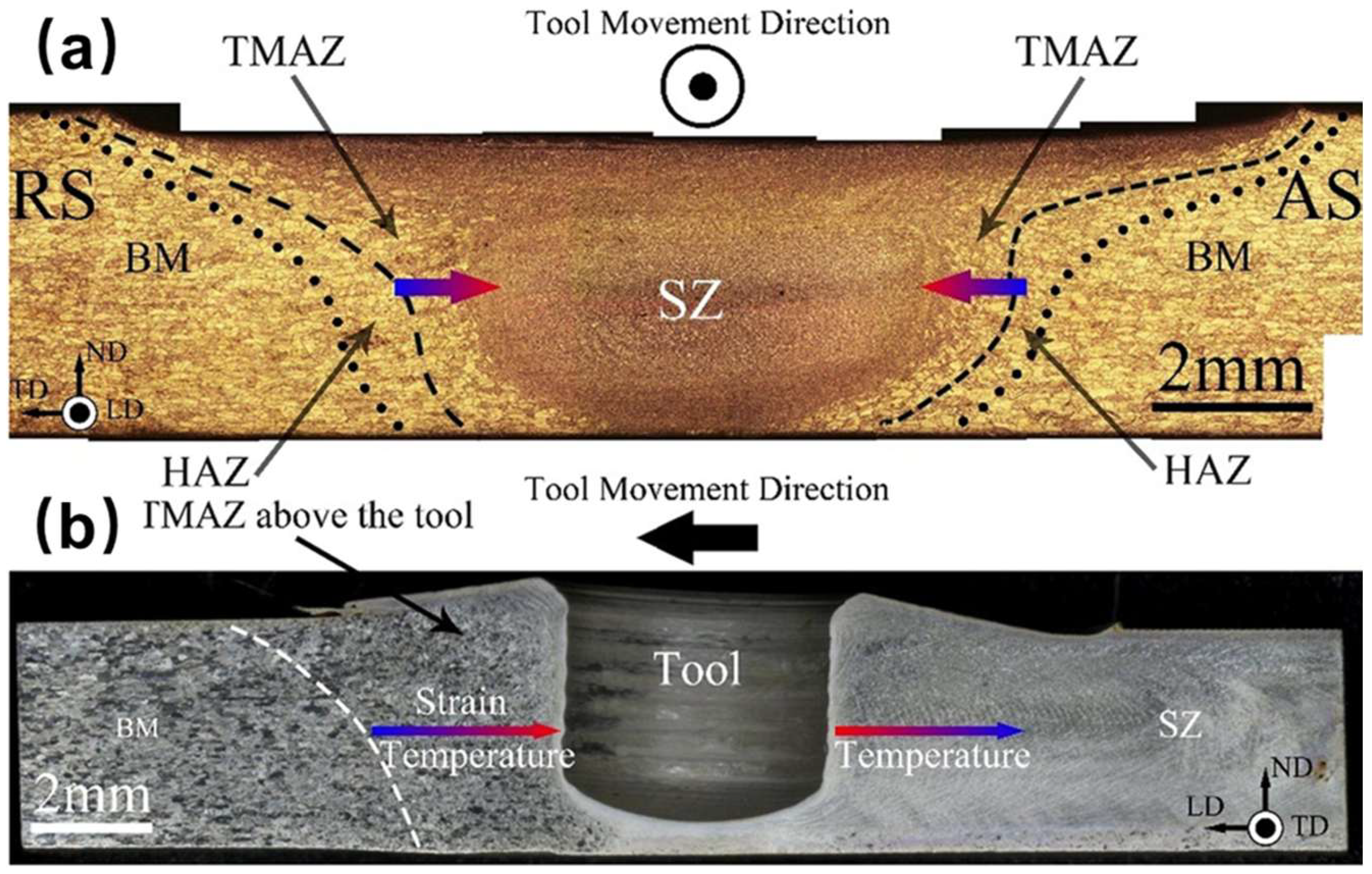 Crystals 16 00172 g008