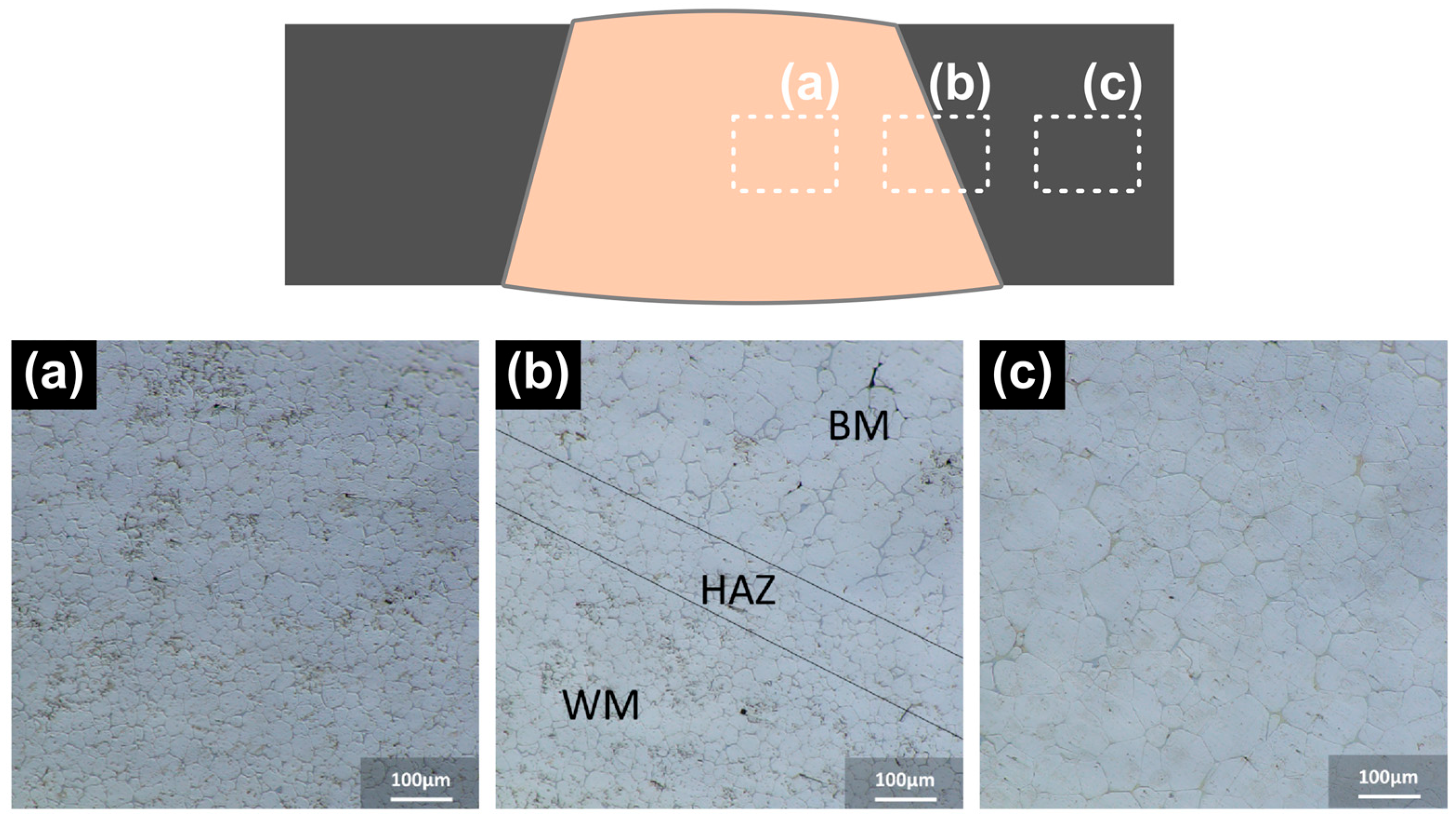 Crystals 16 00182 g004
