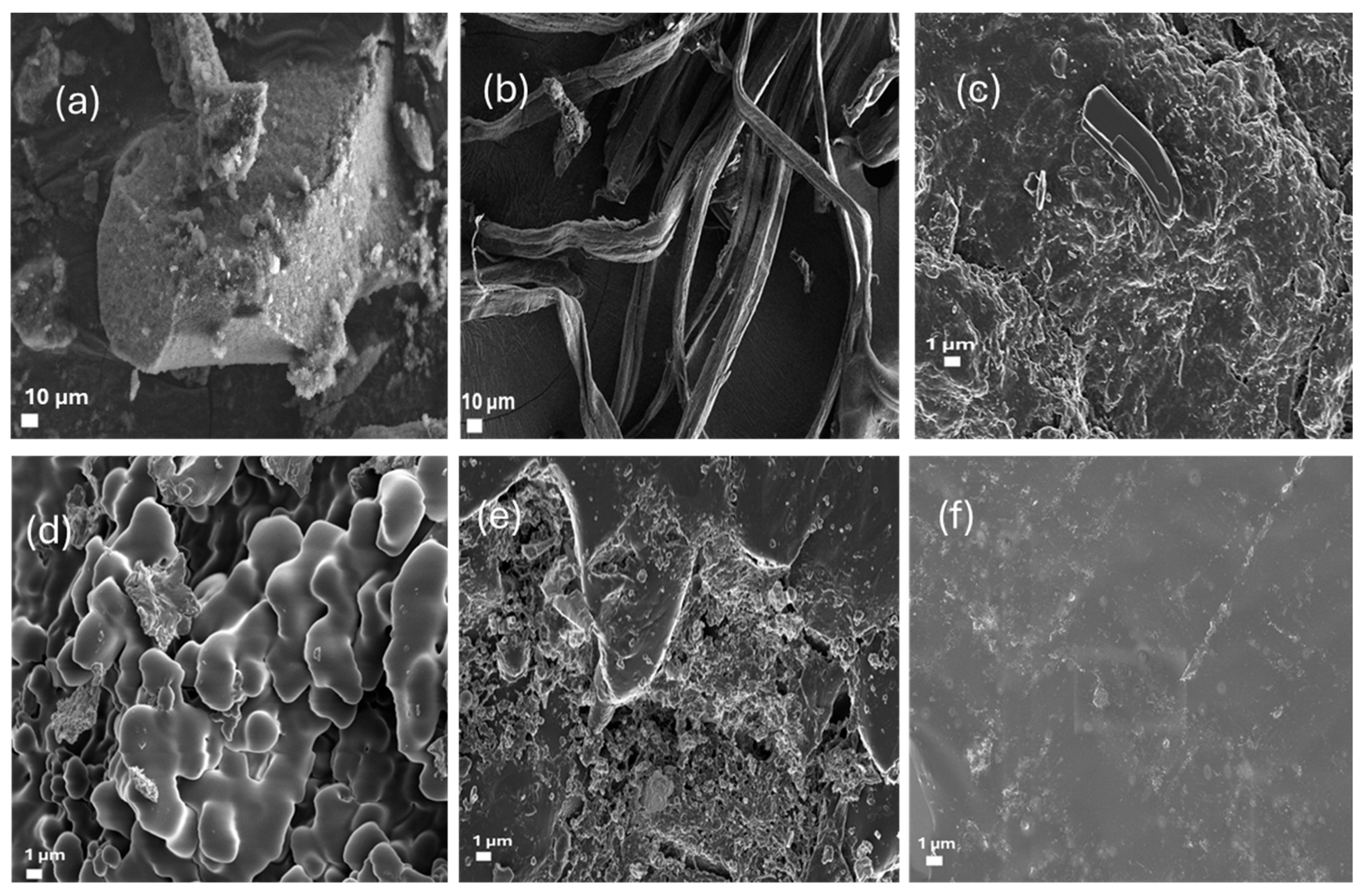 Crystals 16 00229 g006 Crystals 16 00229 g006