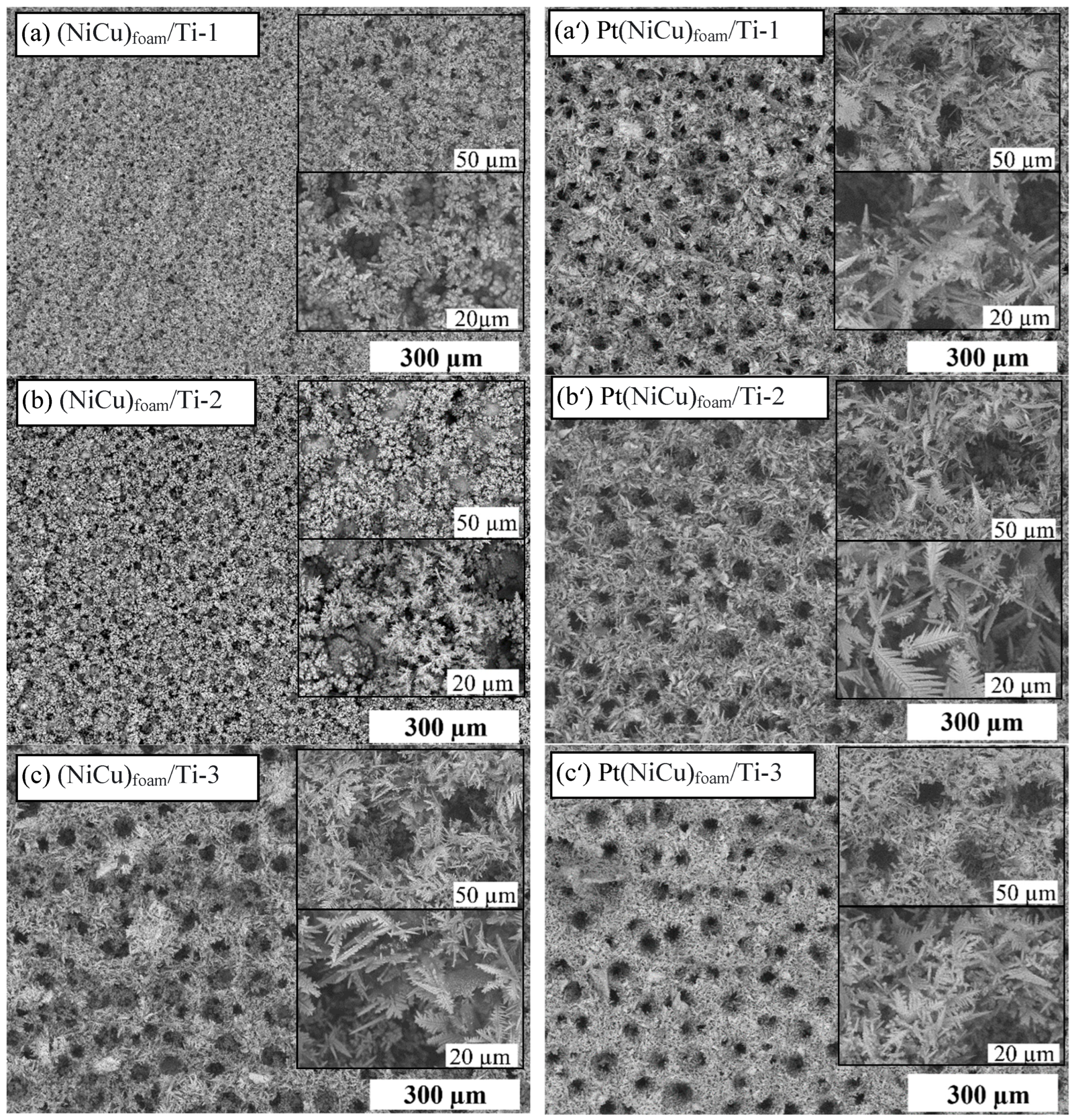 Crystals 16 00283 g001 Crystals 16 00283 g001