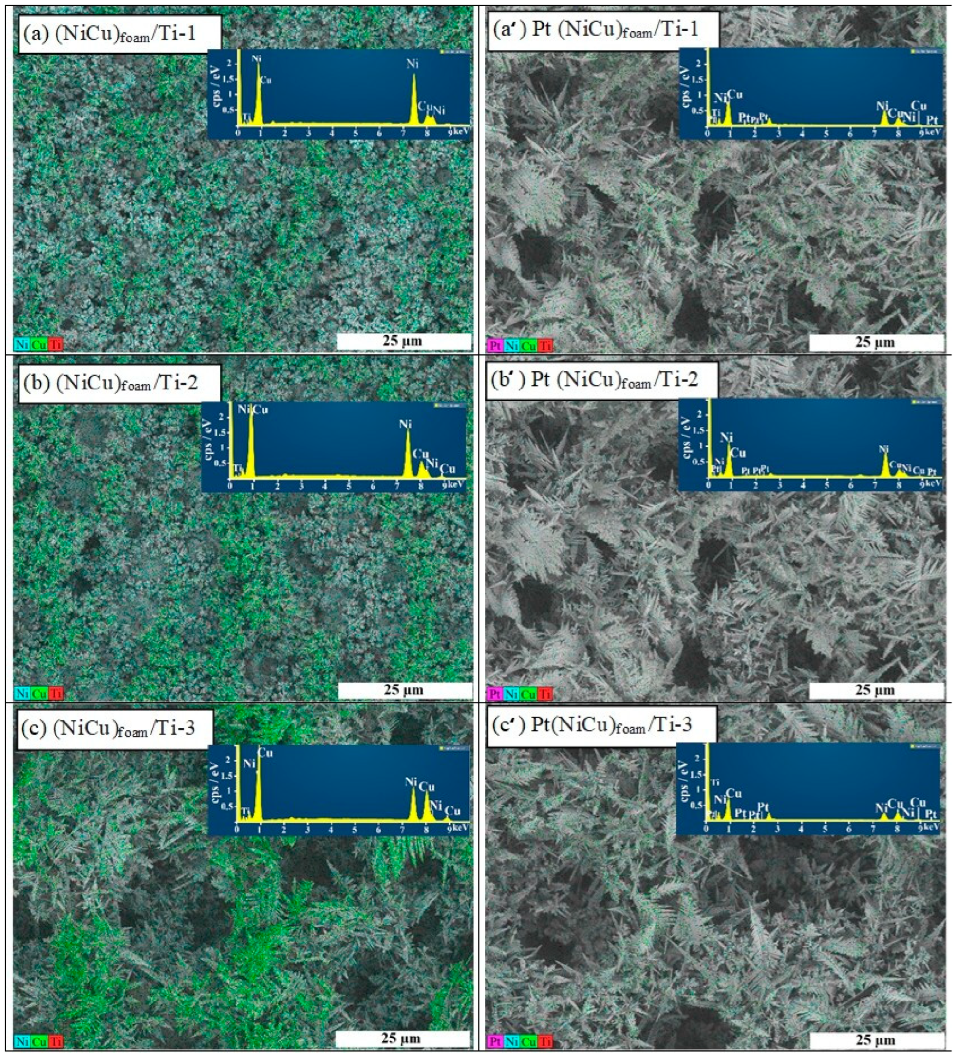 Crystals 16 00283 g002 Crystals 16 00283 g002