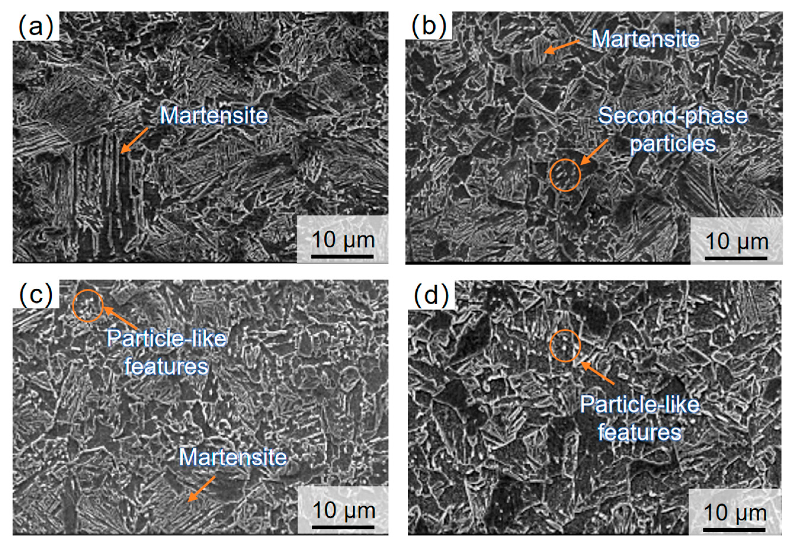 Crystals 16 00364 g005 Crystals 16 00364 g005