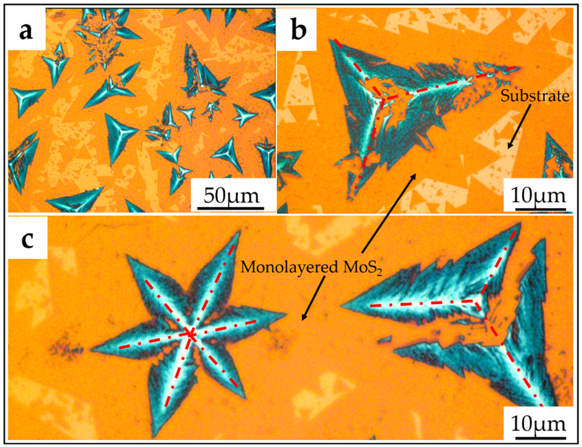 Crystals 16 00480 g003 Crystals 16 00480 g003