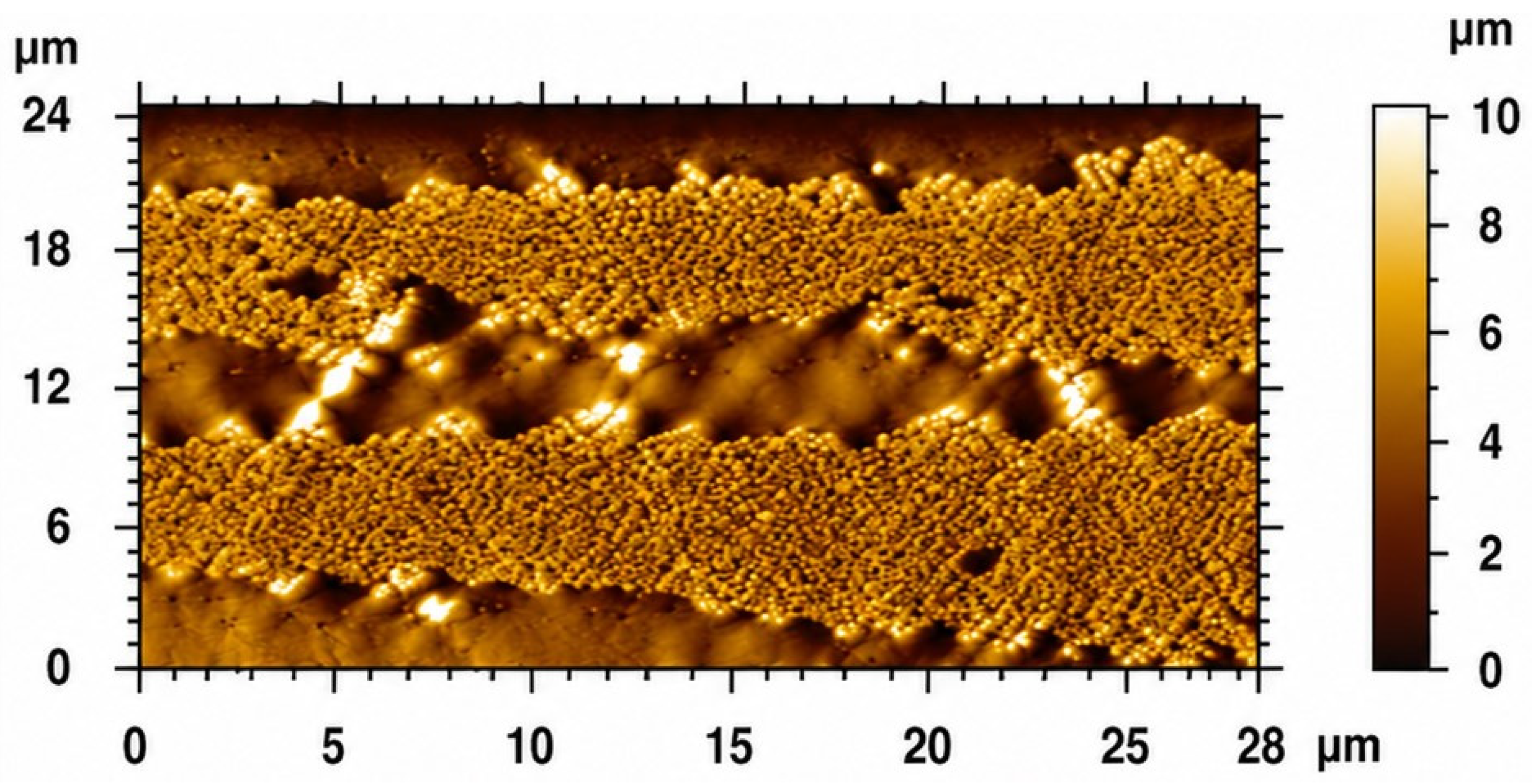 Crystals 16 00483 g015 Crystals 16 00483 g015