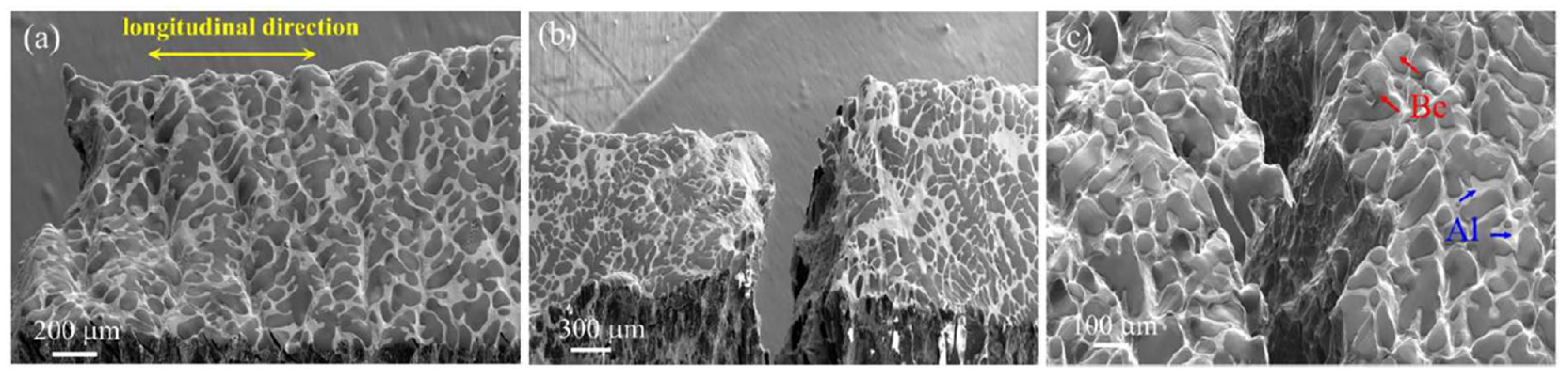 Crystals 16 00512 g004 Crystals 16 00512 g004