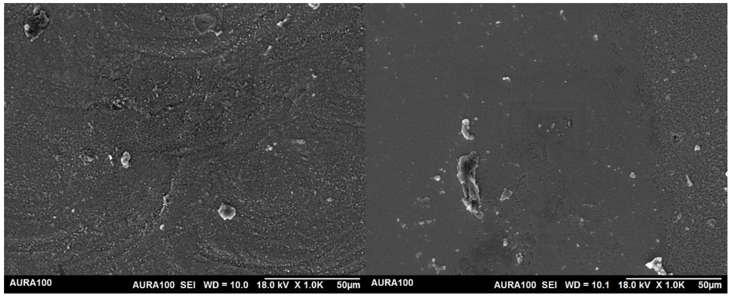Crystals 16 00622 g007 Crystals 16 00622 g007