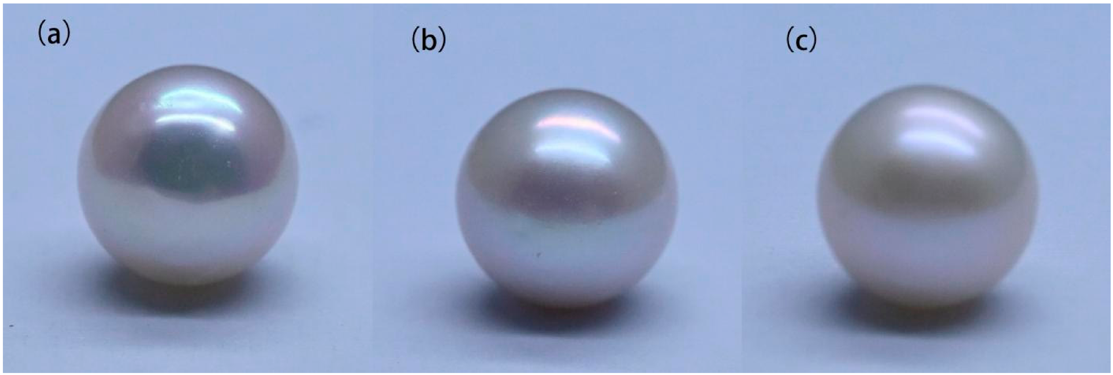 Crystals 16 00650 g001