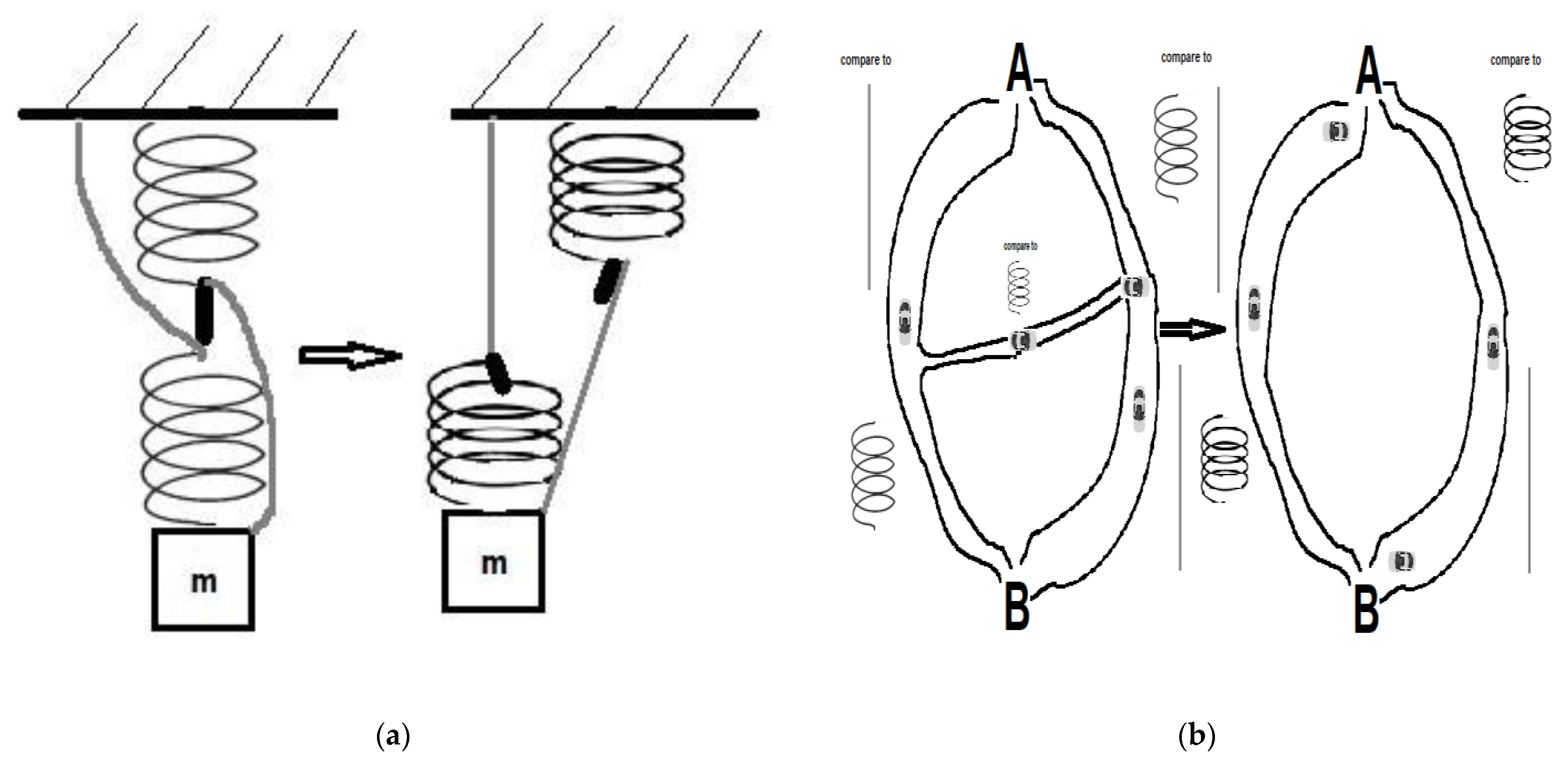 Csmf 08 00012 g002 Csmf 08 00012 g002
