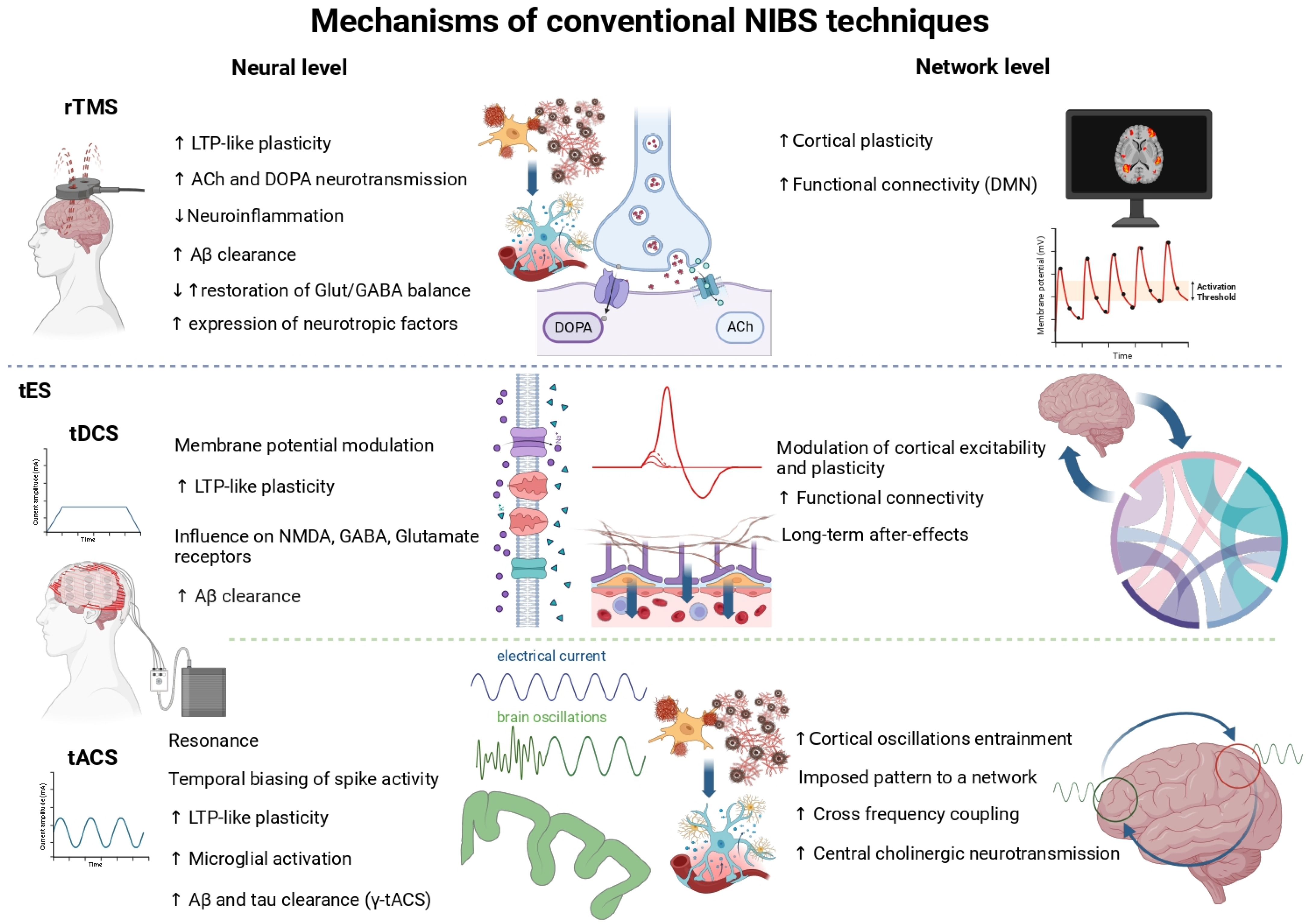 Ctn 09 00043 g001 Ctn 09 00043 g001