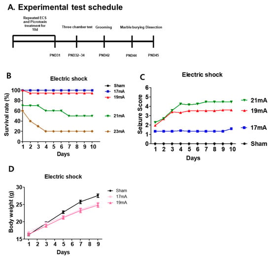 Survival rate for ECS-induced seizures. The survival rate, seizure score and body weight of mice with electric shock-induced seizures. (A) Experimental test schedule, (B) survival rate, (C) seizure score, and (D) body weight. All data are expressed as mean ± S.E.M. (sham, 17 mA, 19 mA n = 35/21 mA n = 18/23 mA n = 10).
