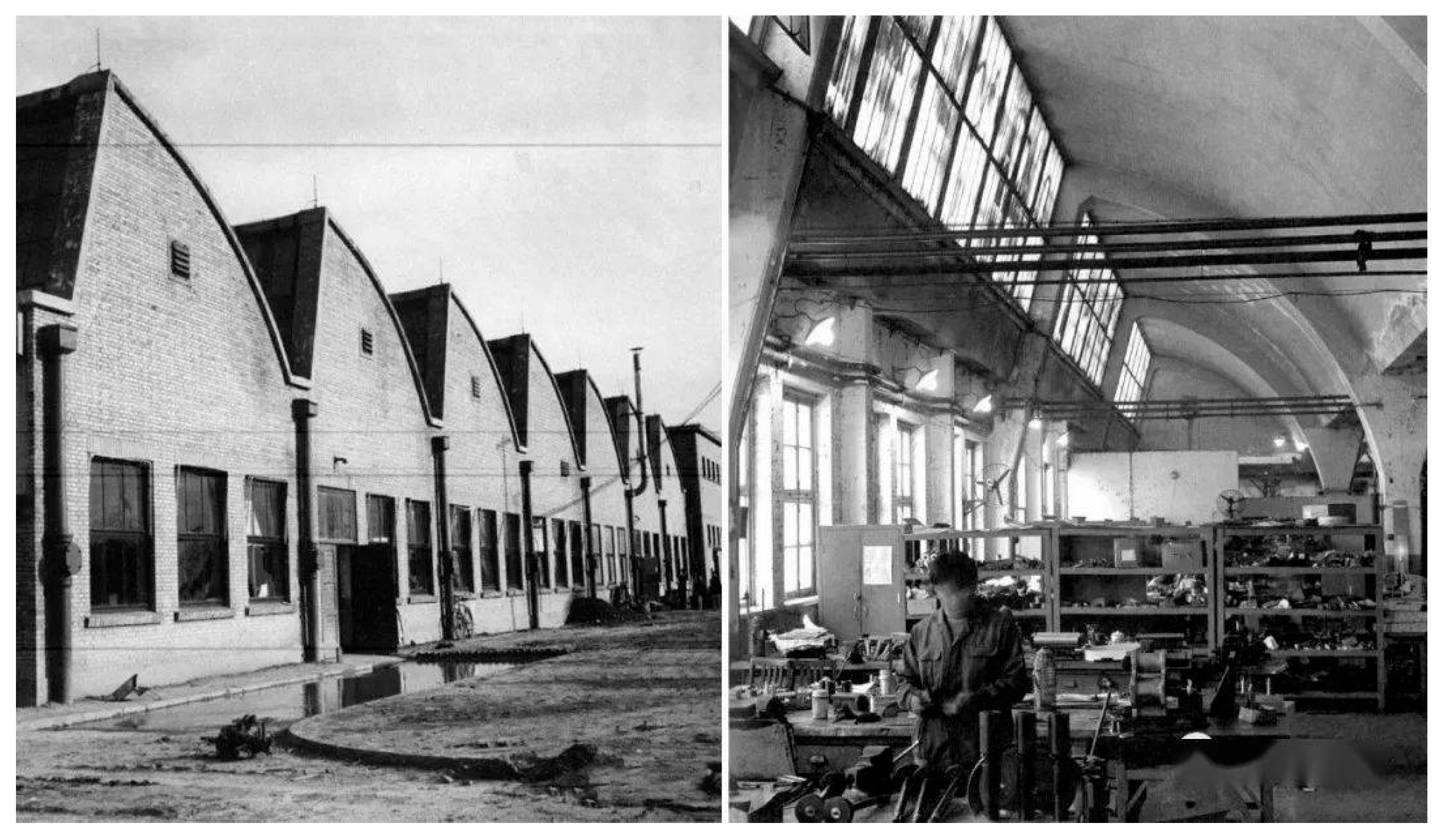 Culture 01 00002 g001