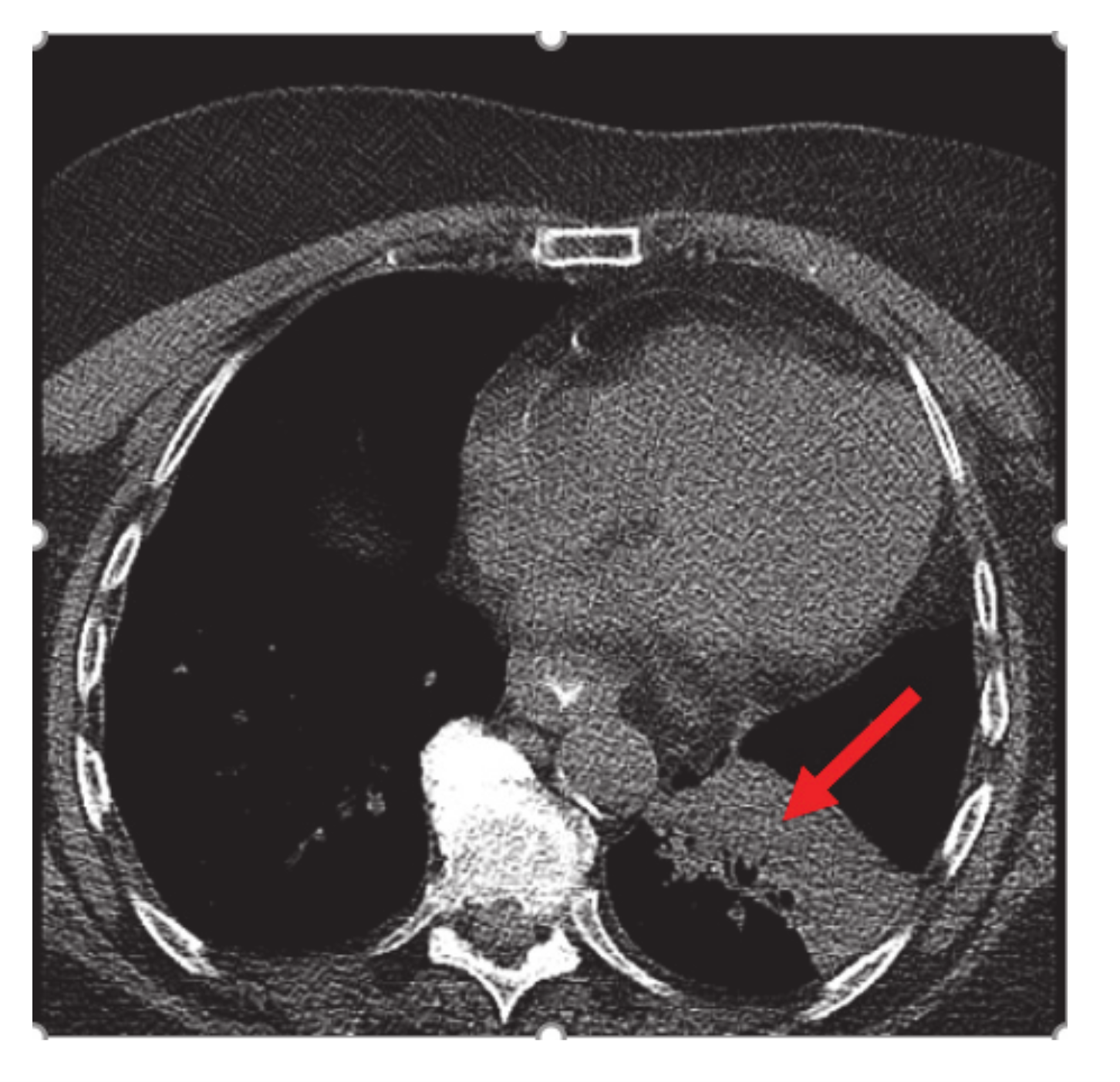 Curroncol 28 00021 g001