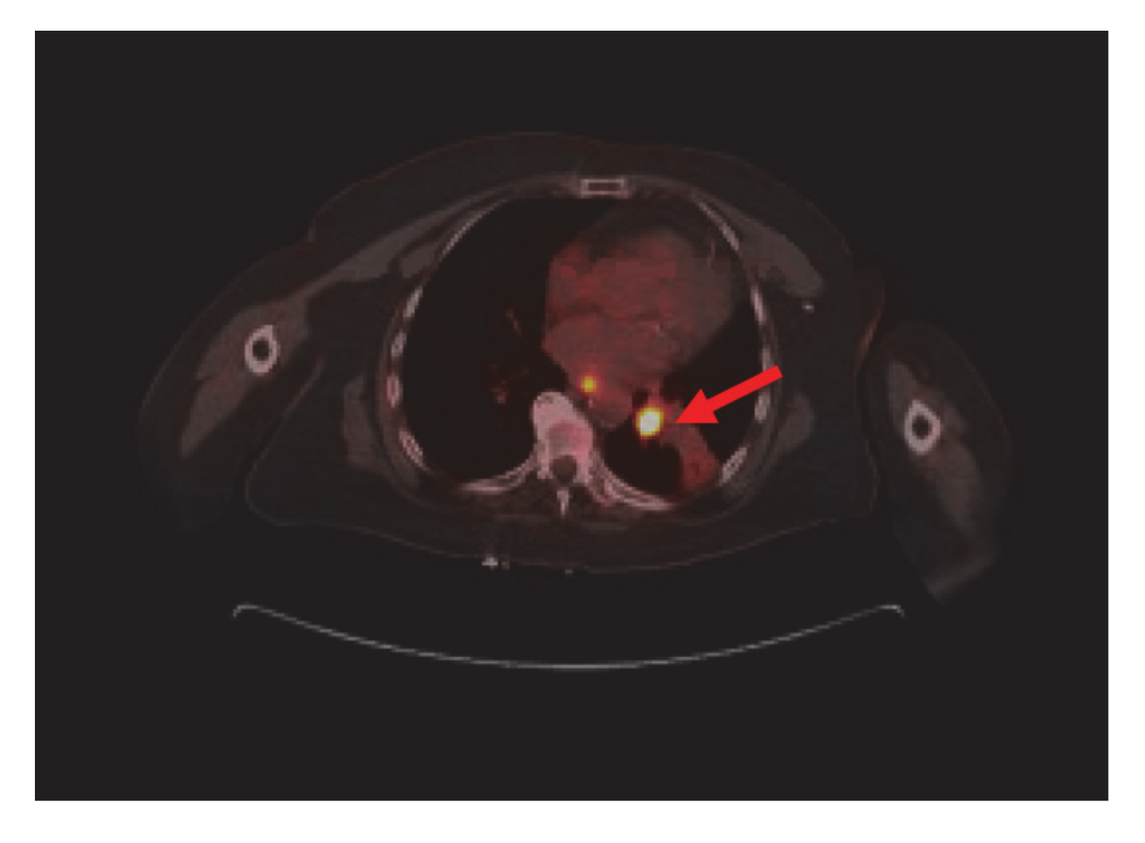 Curroncol 28 00021 g002