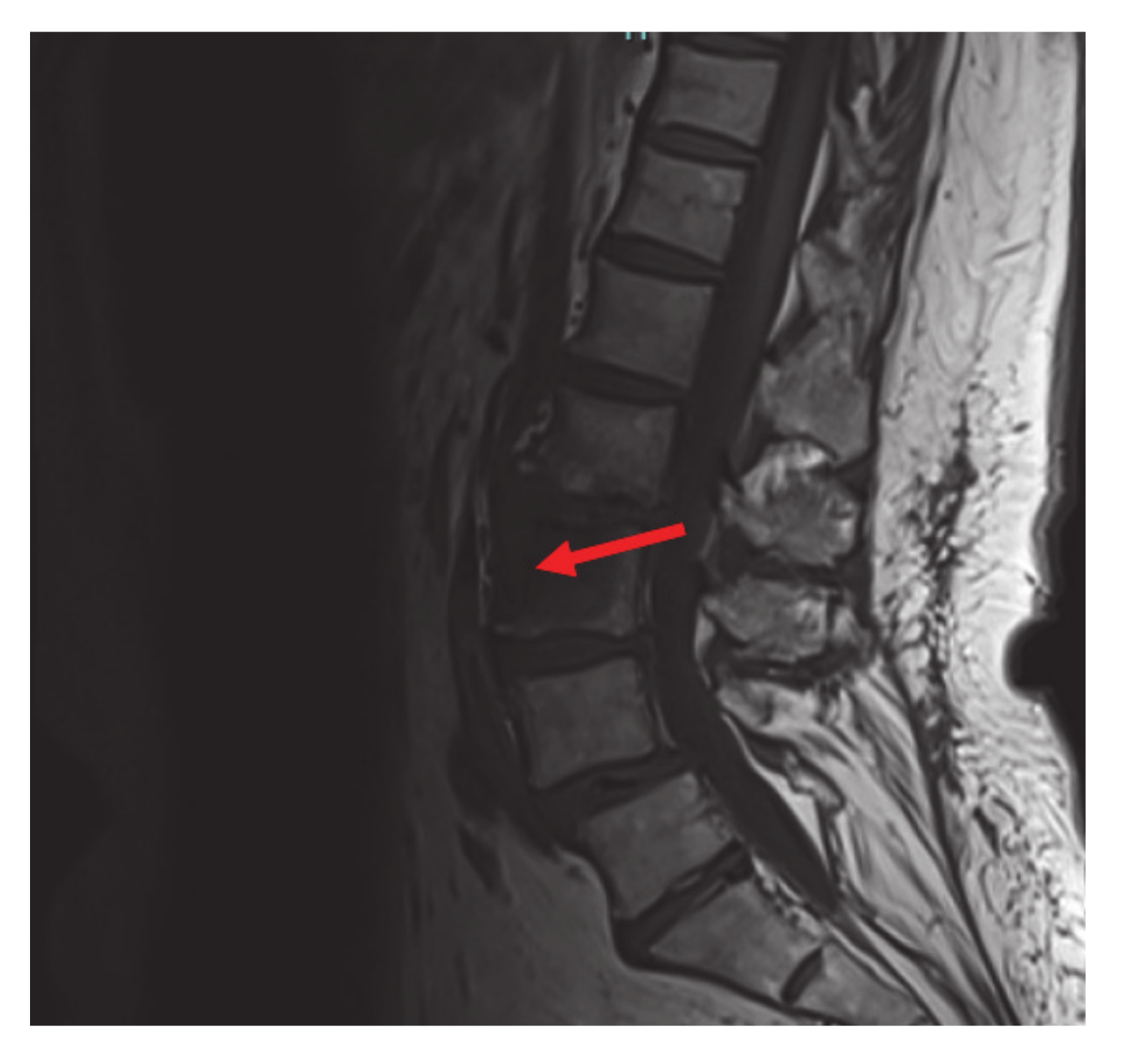 Curroncol 28 00021 g003