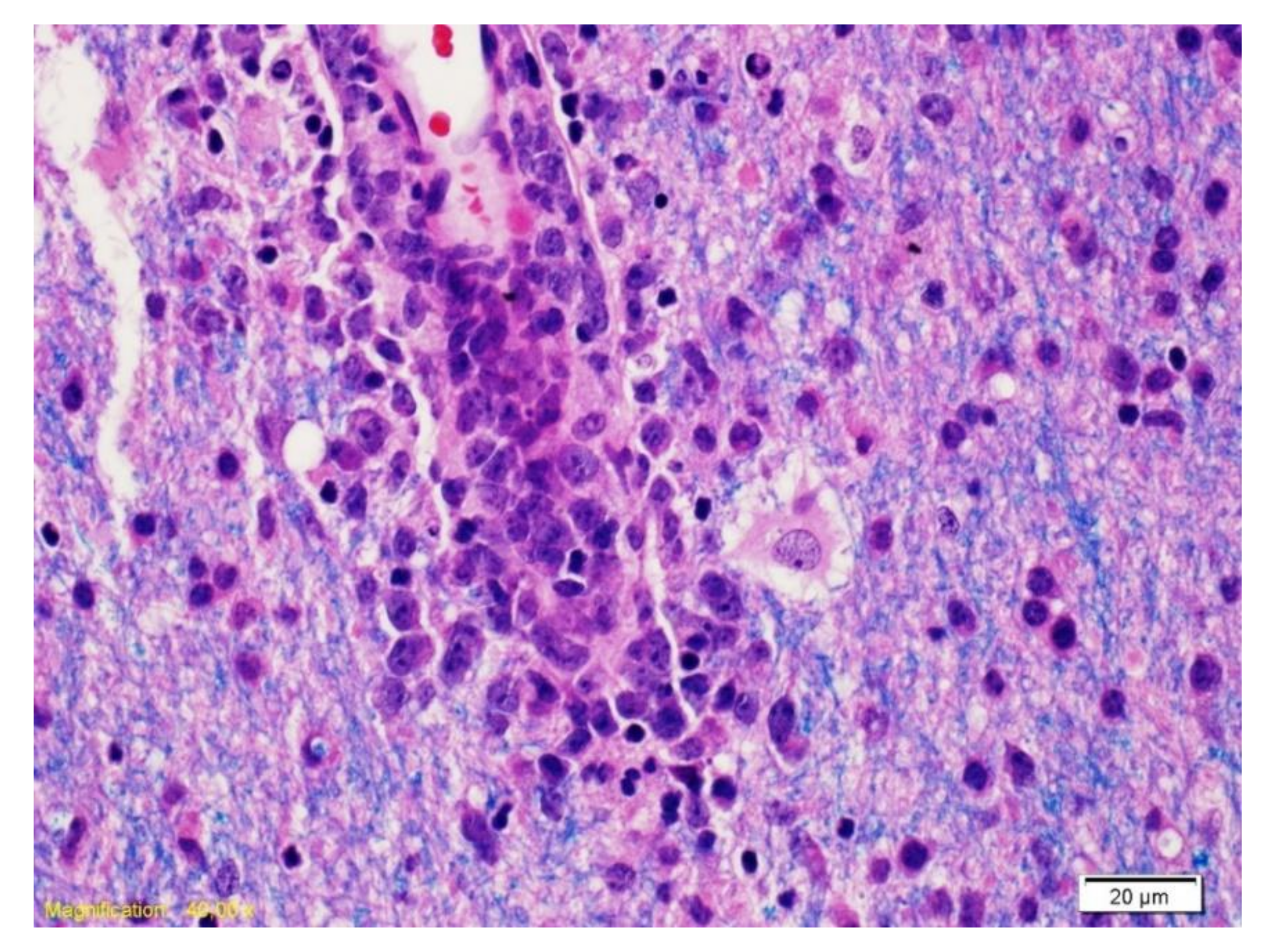 Curroncol 28 00022 g003 Curroncol 28 00022 g003