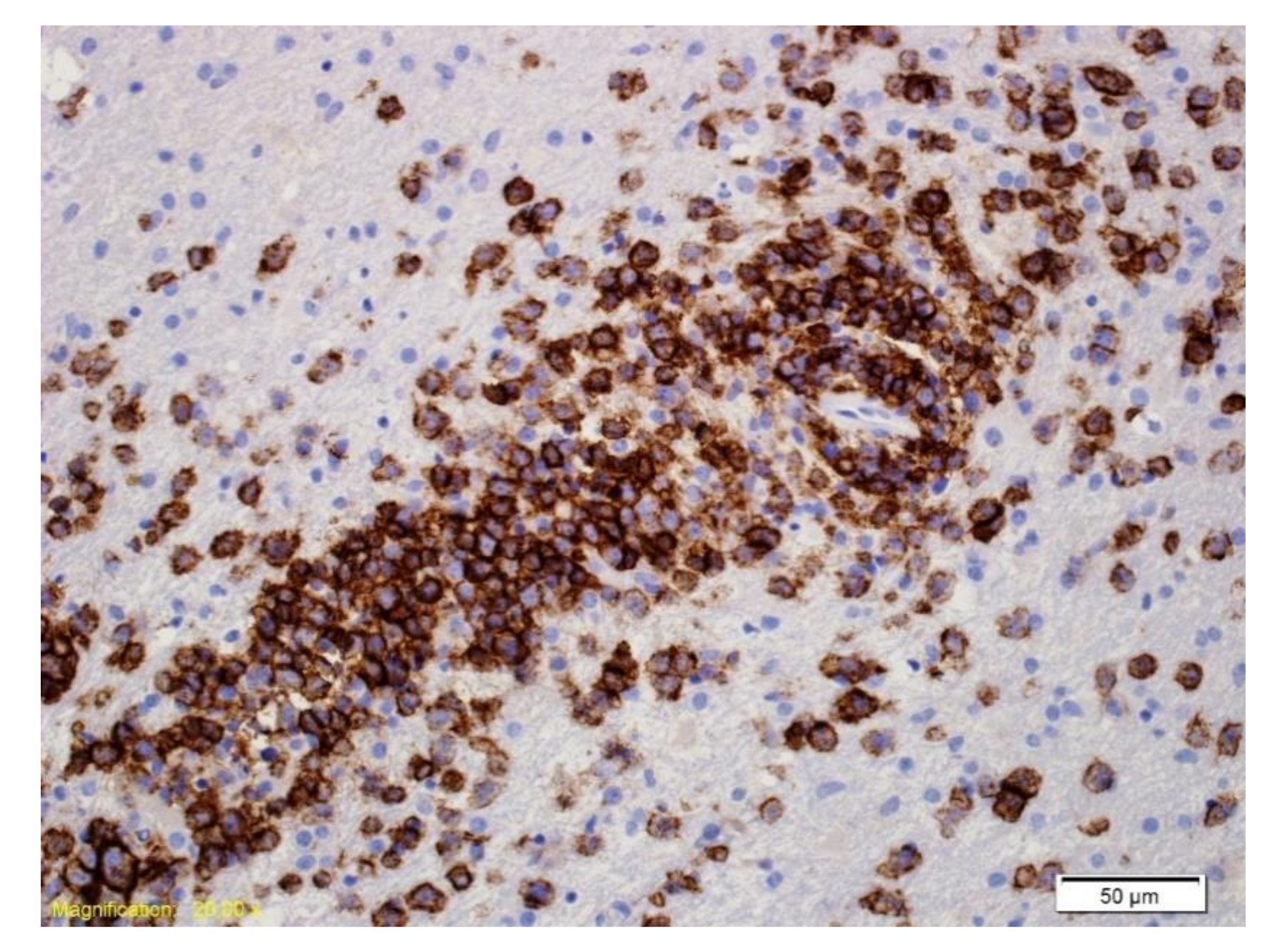 Curroncol 28 00022 g004 Curroncol 28 00022 g004