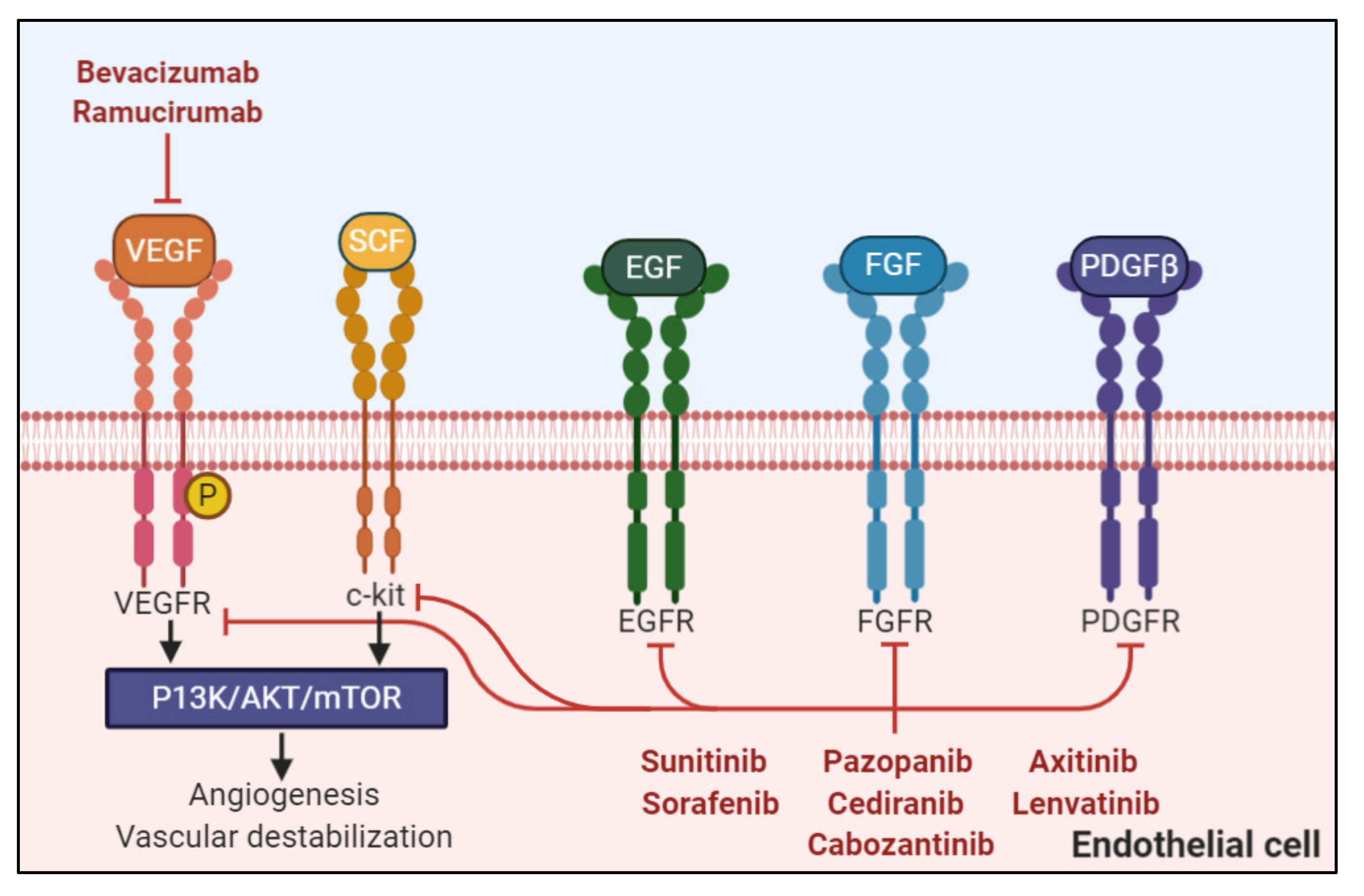 Curroncol 28 00064 g001 Curroncol 28 00064 g001