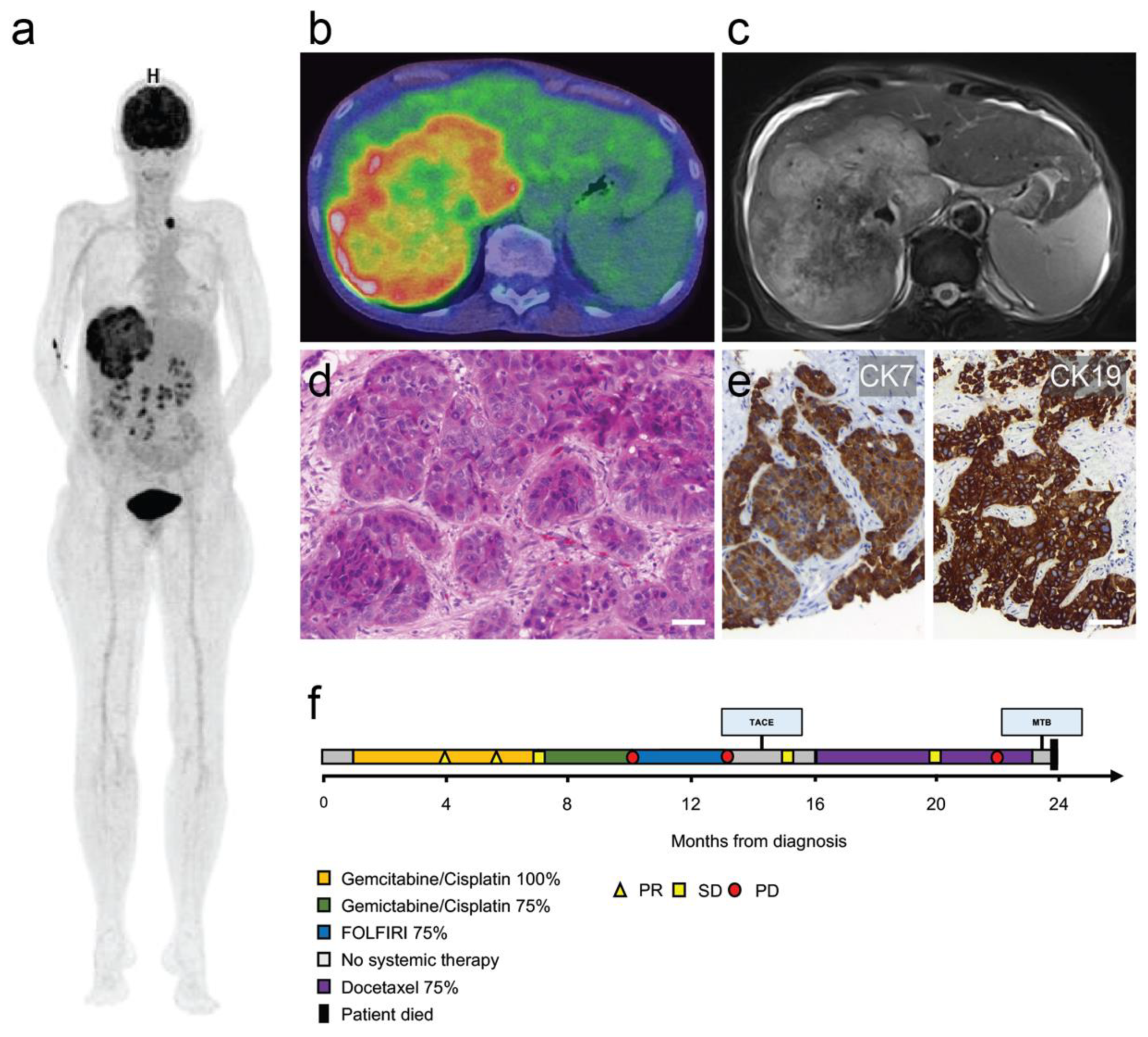 Curroncol 28 00112 g001