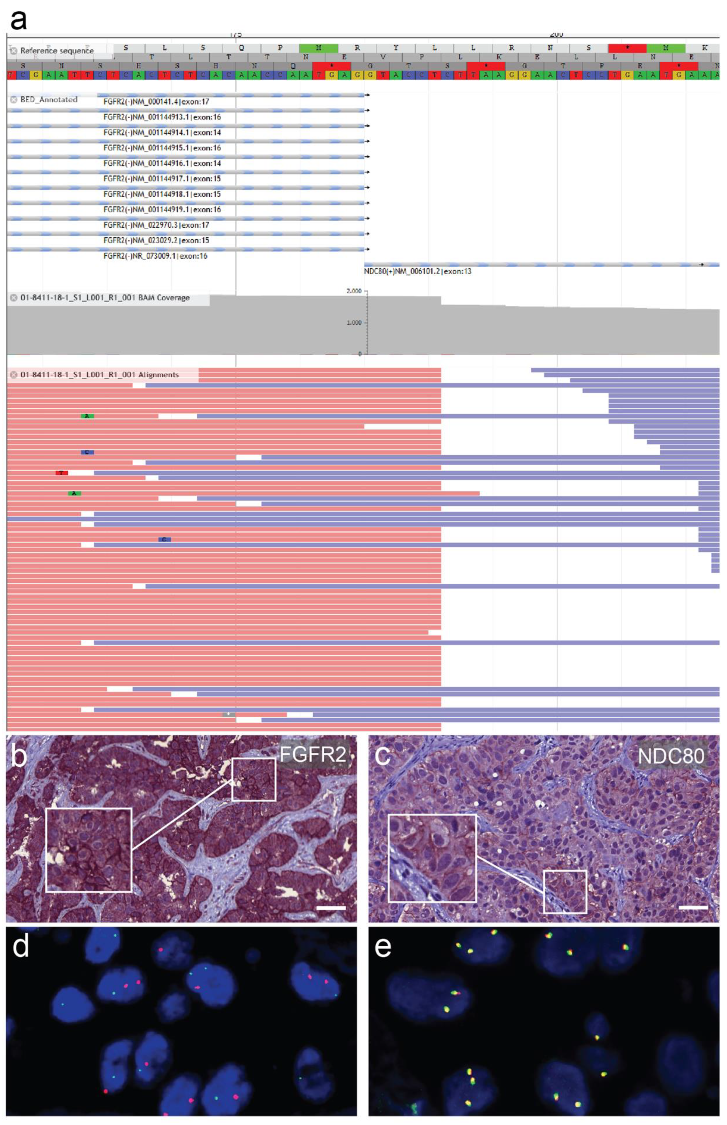 Curroncol 28 00112 g002