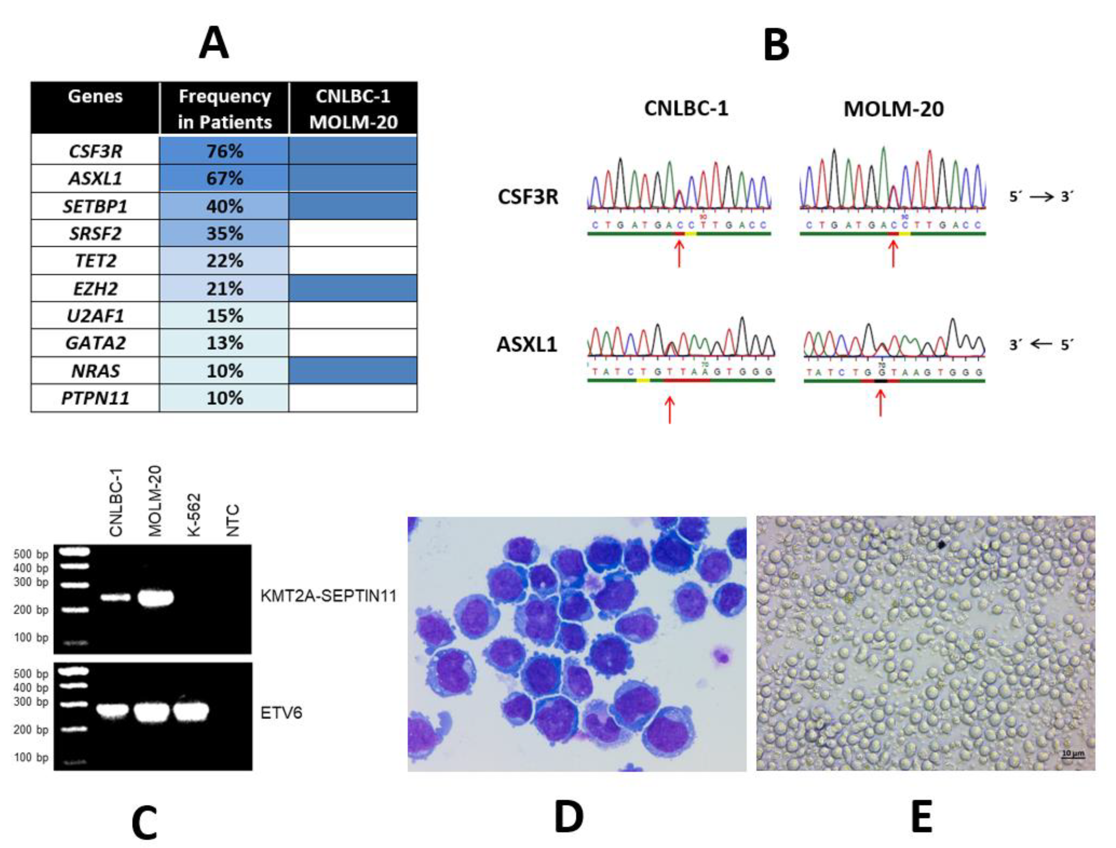 Curroncol 28 00166 g001