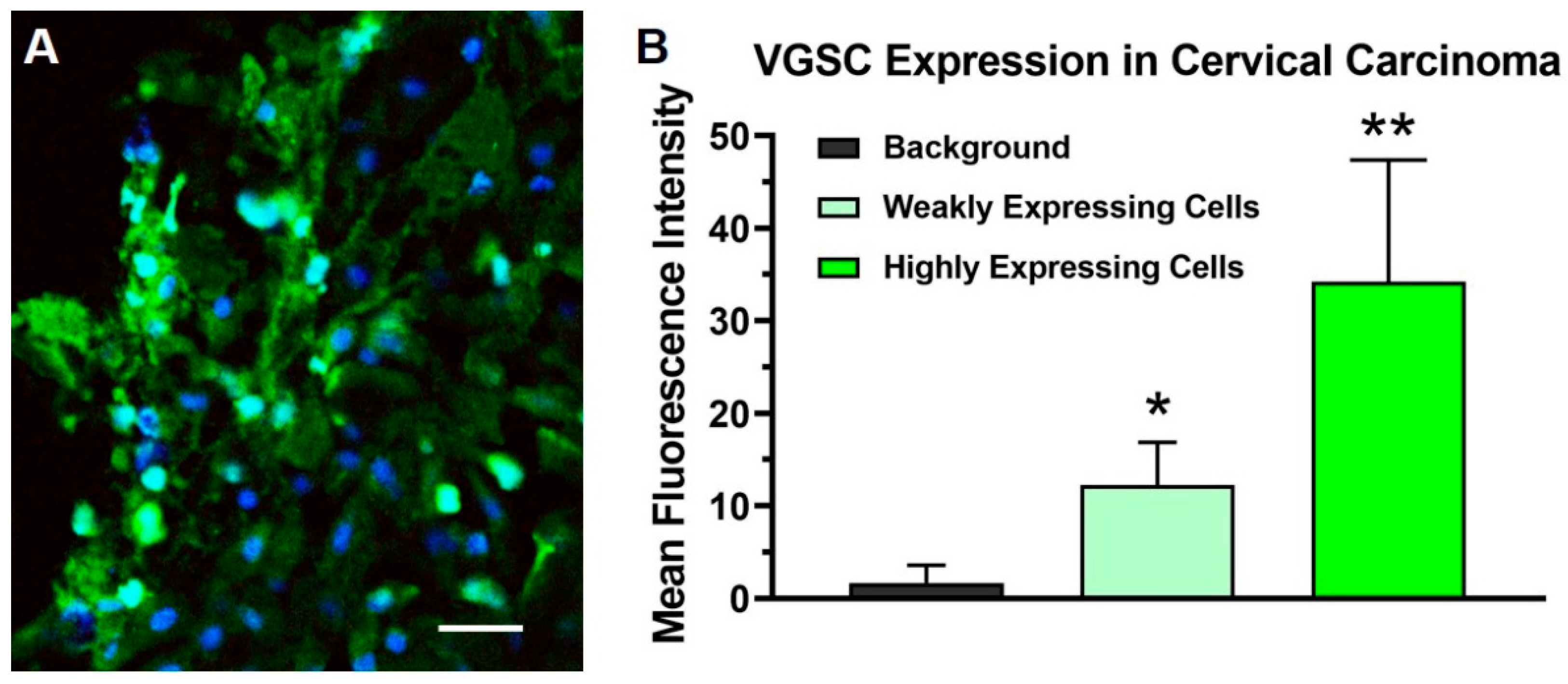 Curroncol 28 00196 g001