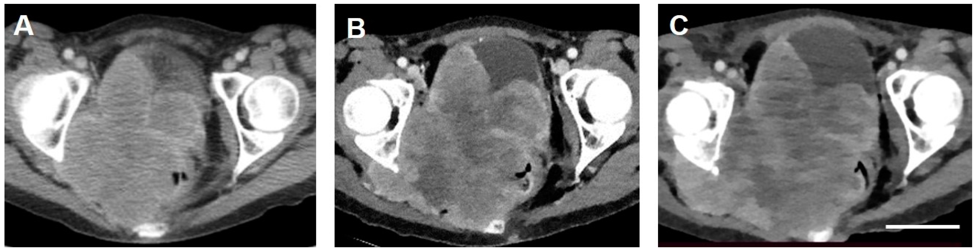 Curroncol 28 00196 g003