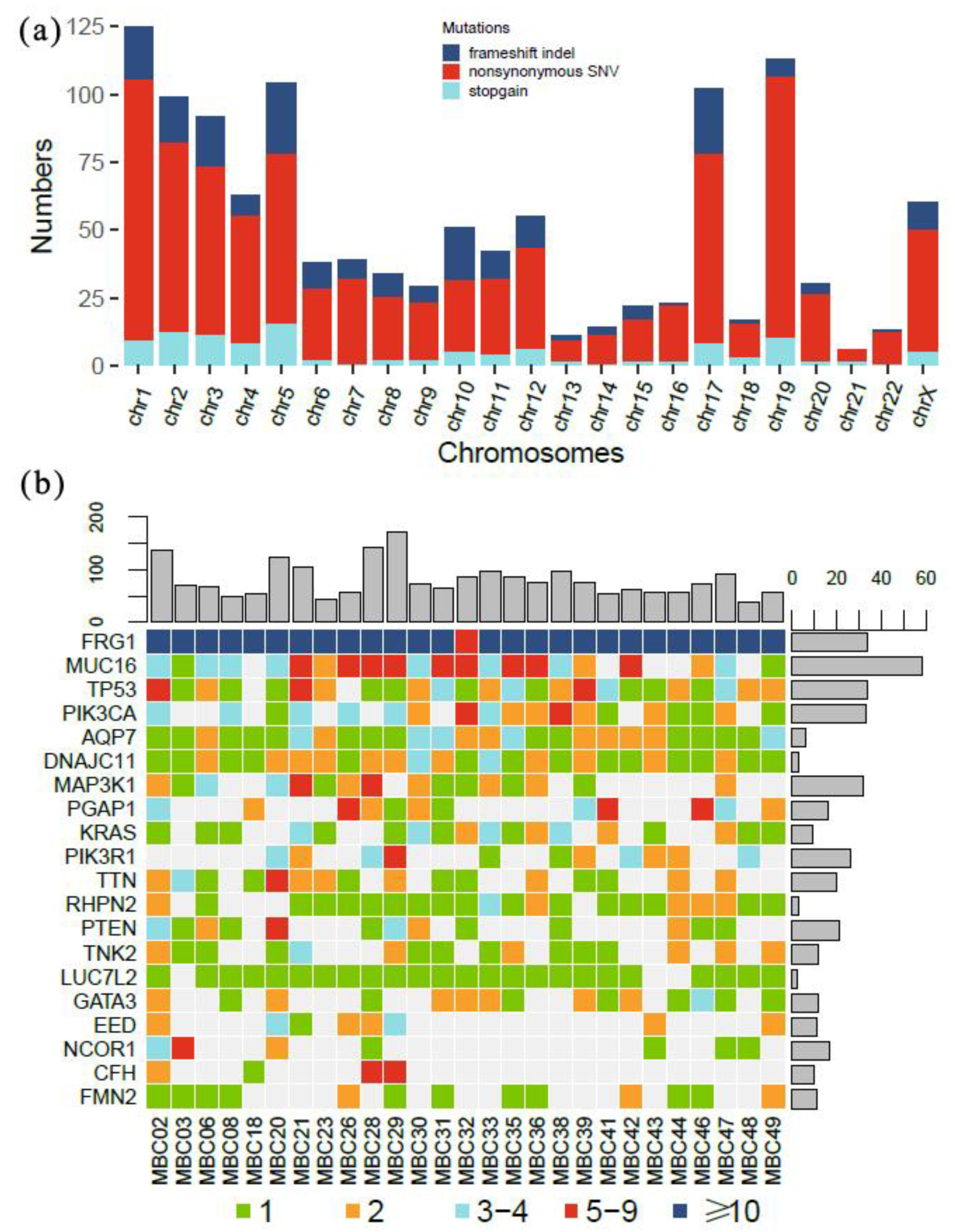 Curroncol 28 00214 g001
