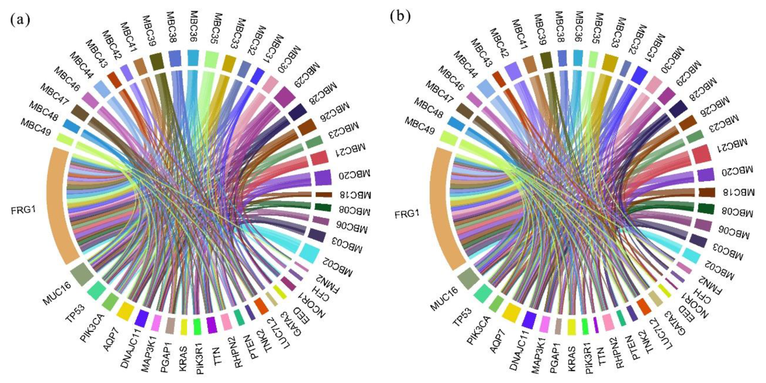 Curroncol 28 00214 g003