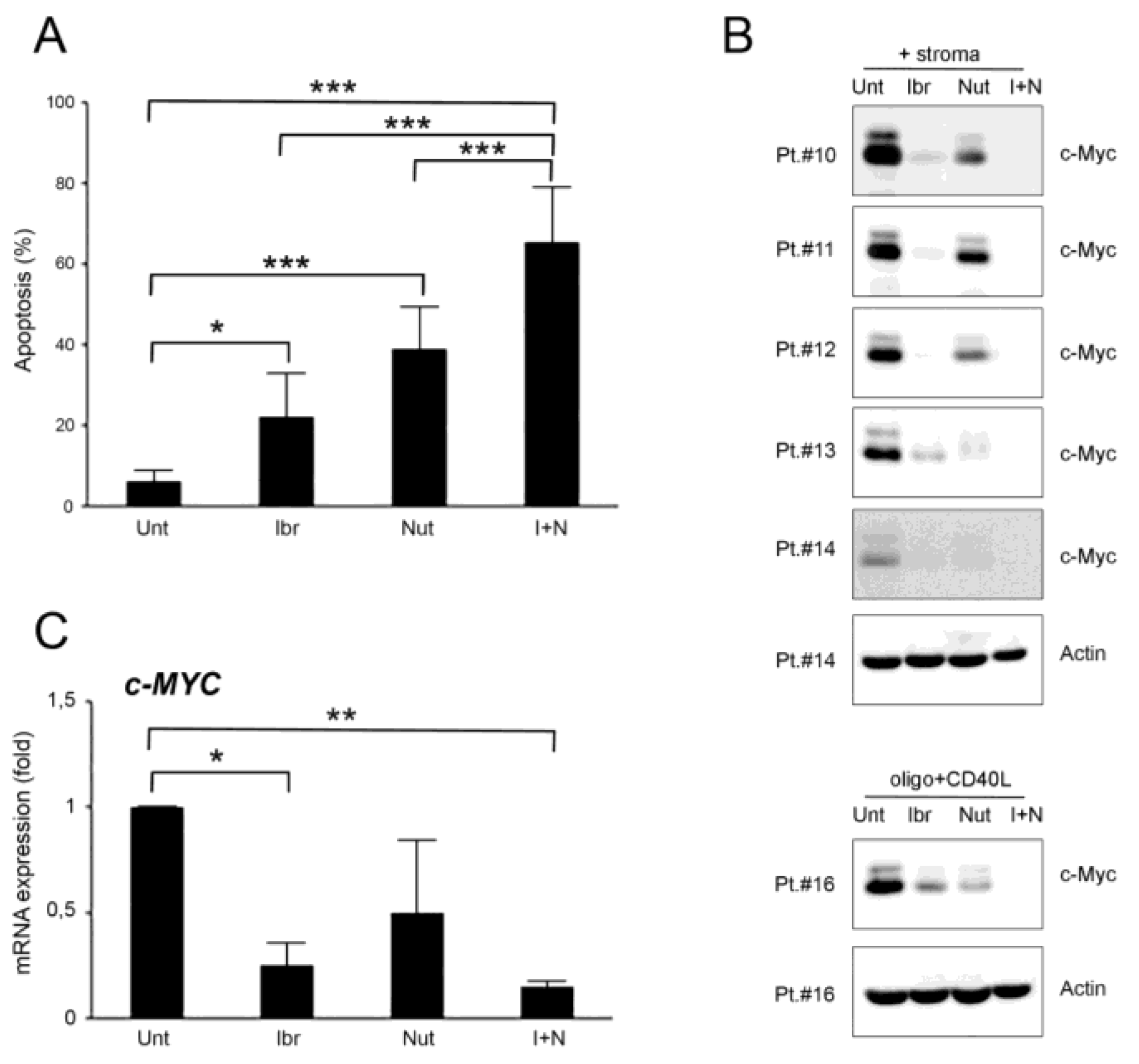 Curroncol 28 00223 g002