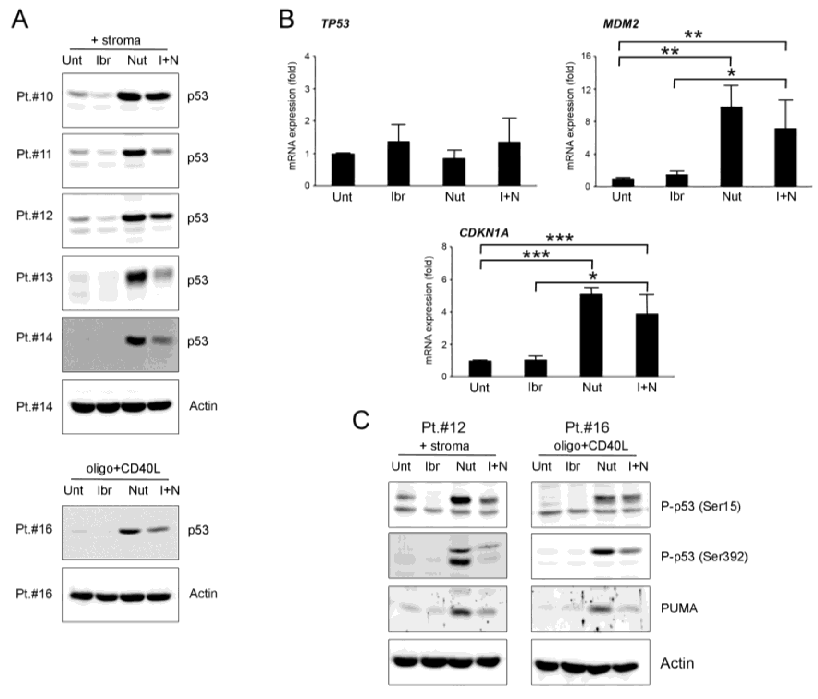Curroncol 28 00223 g003