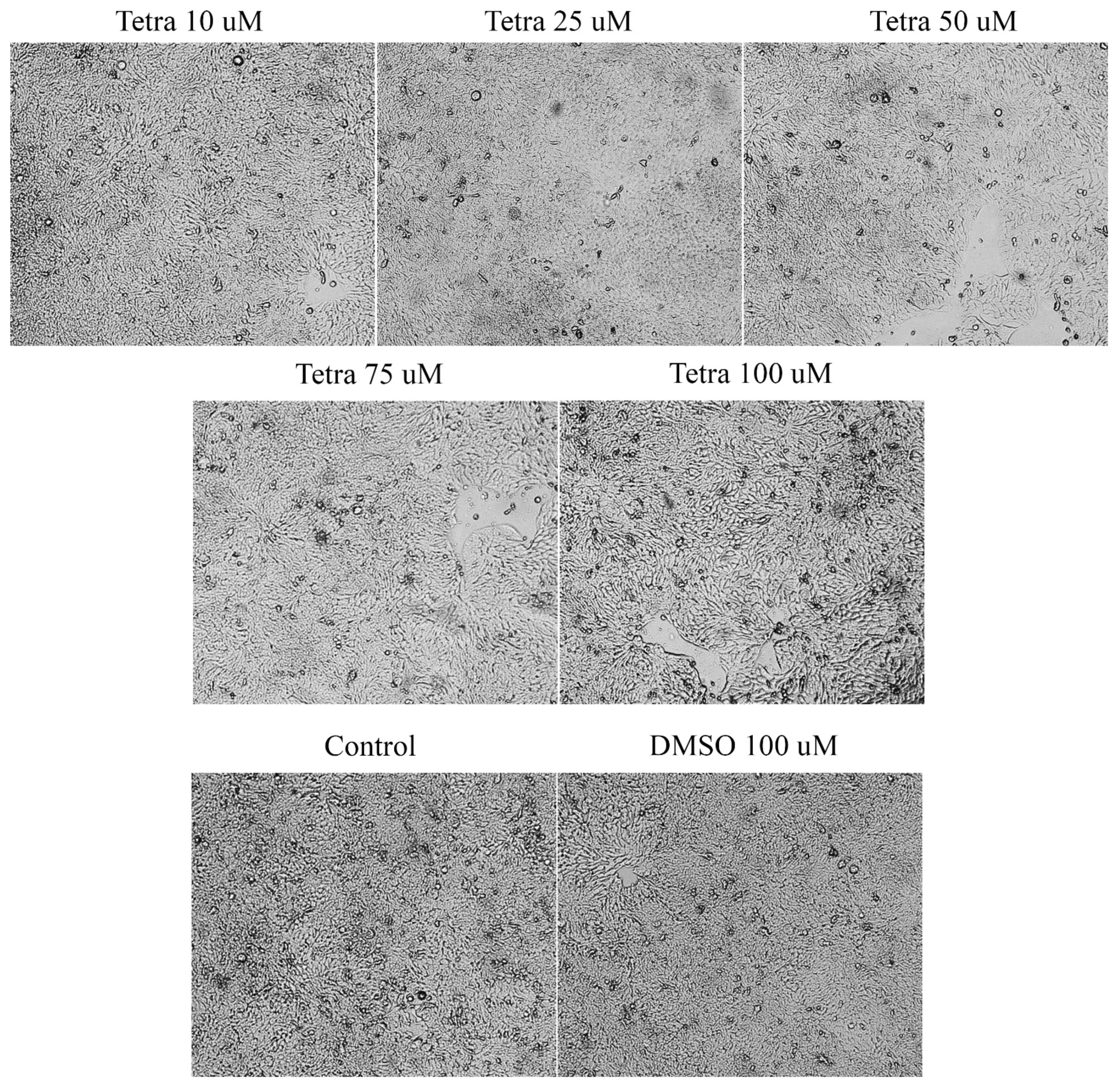 Curroncol 28 00225 g003