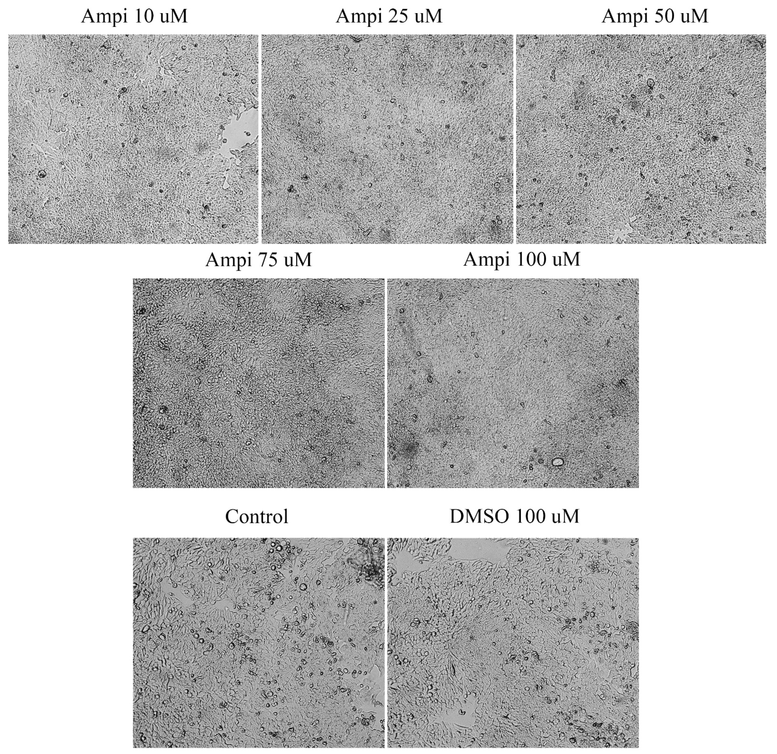 Curroncol 28 00225 g004